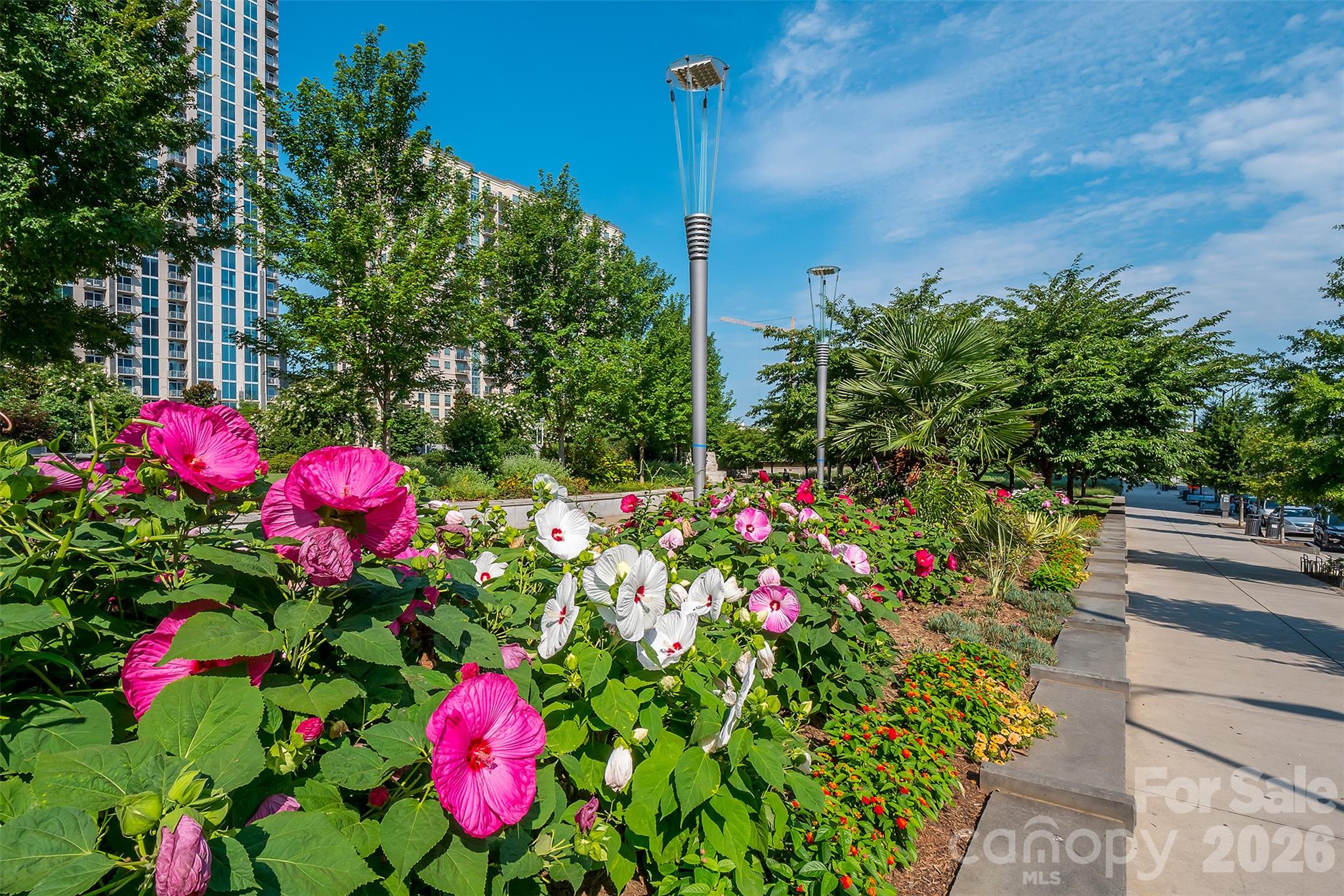 Portfolio at 1212 Minter Place, Charlotte, photo 37 of 39