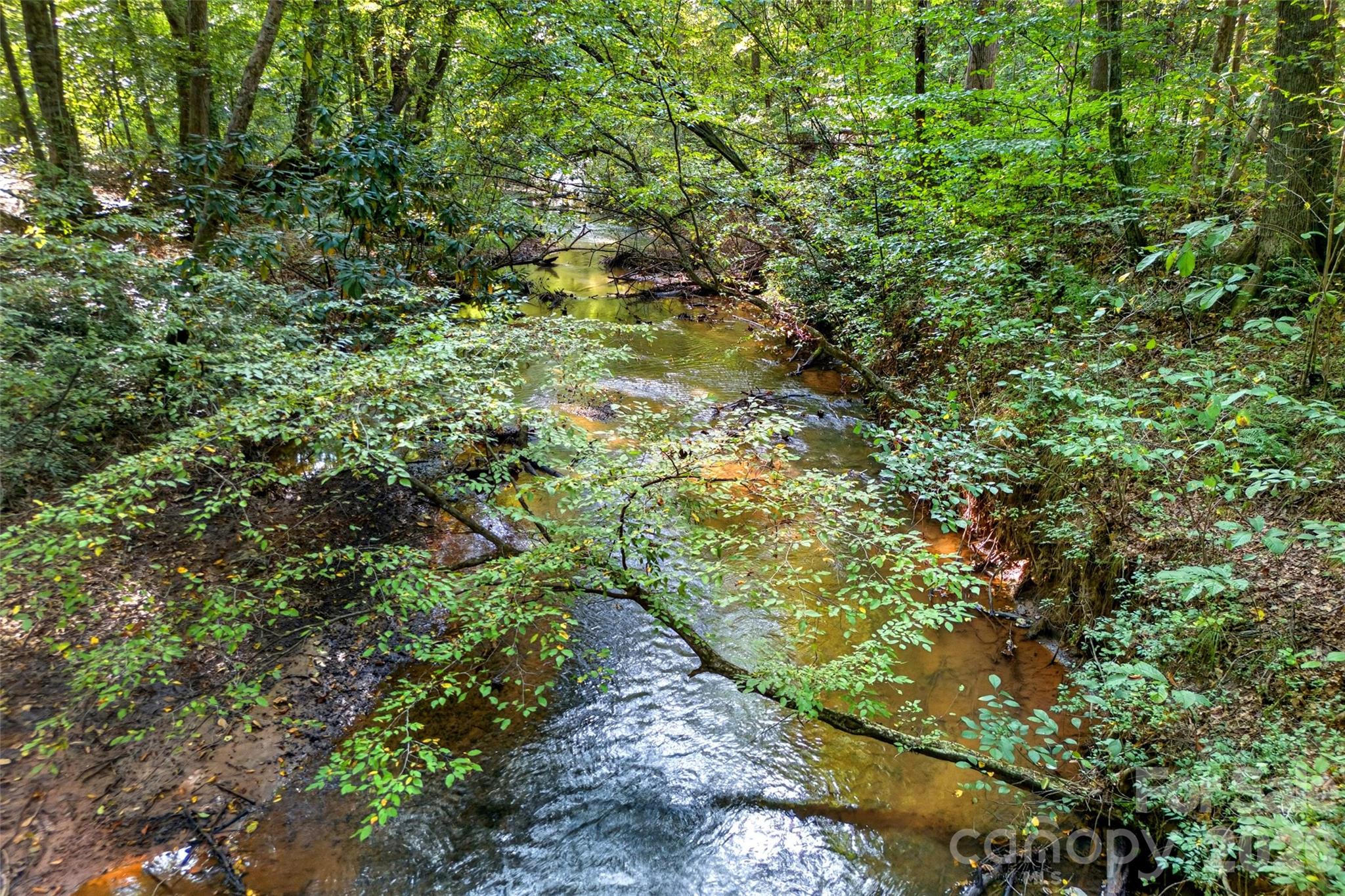 Creek on the property - 242 Falling Creek Drive, Nebo