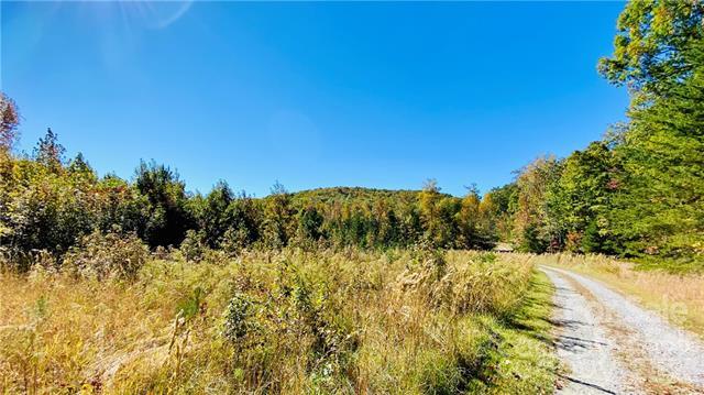 Lot at 5116 Kings Pinnacle Drive, Kings Mountain, photo 11 of 14