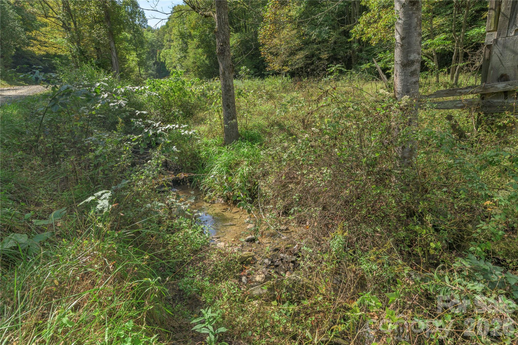 Acreage at 10281 White Oak Road, Waynesville, photo 4 of 22