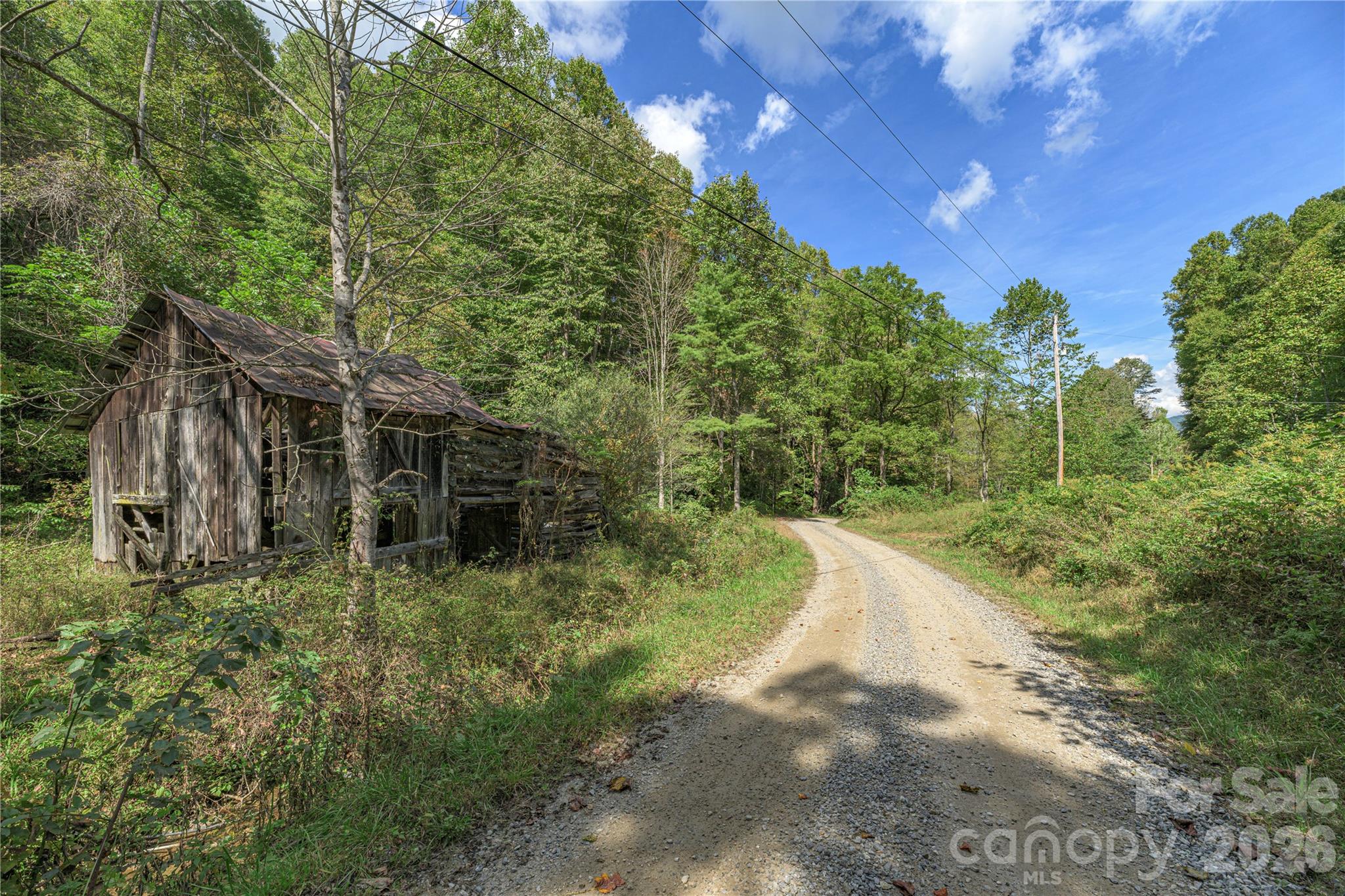 Acreage at 10281 White Oak Road, Waynesville, photo 5 of 22