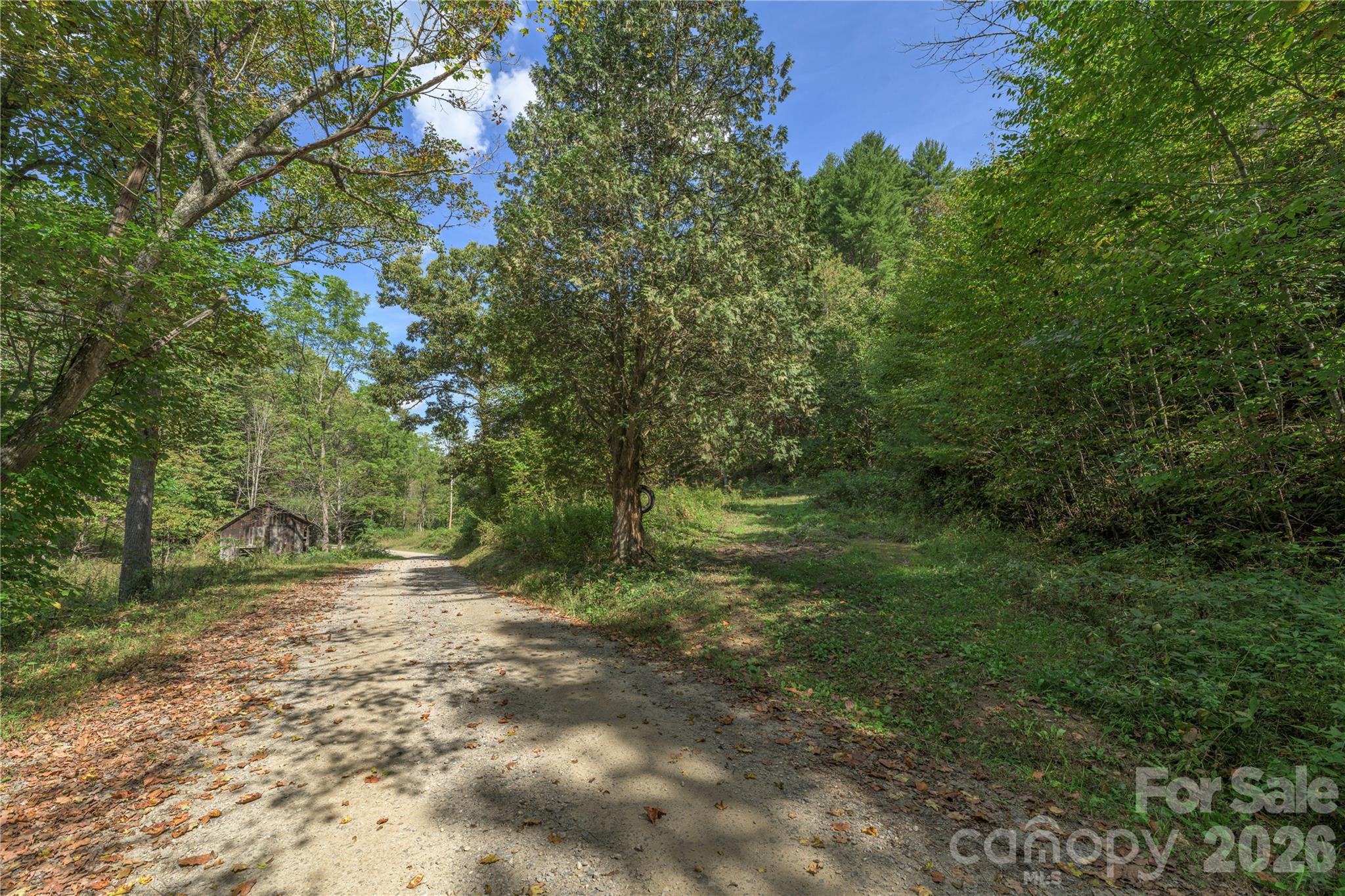 Acreage at 10281 White Oak Road, Waynesville, photo 6 of 22