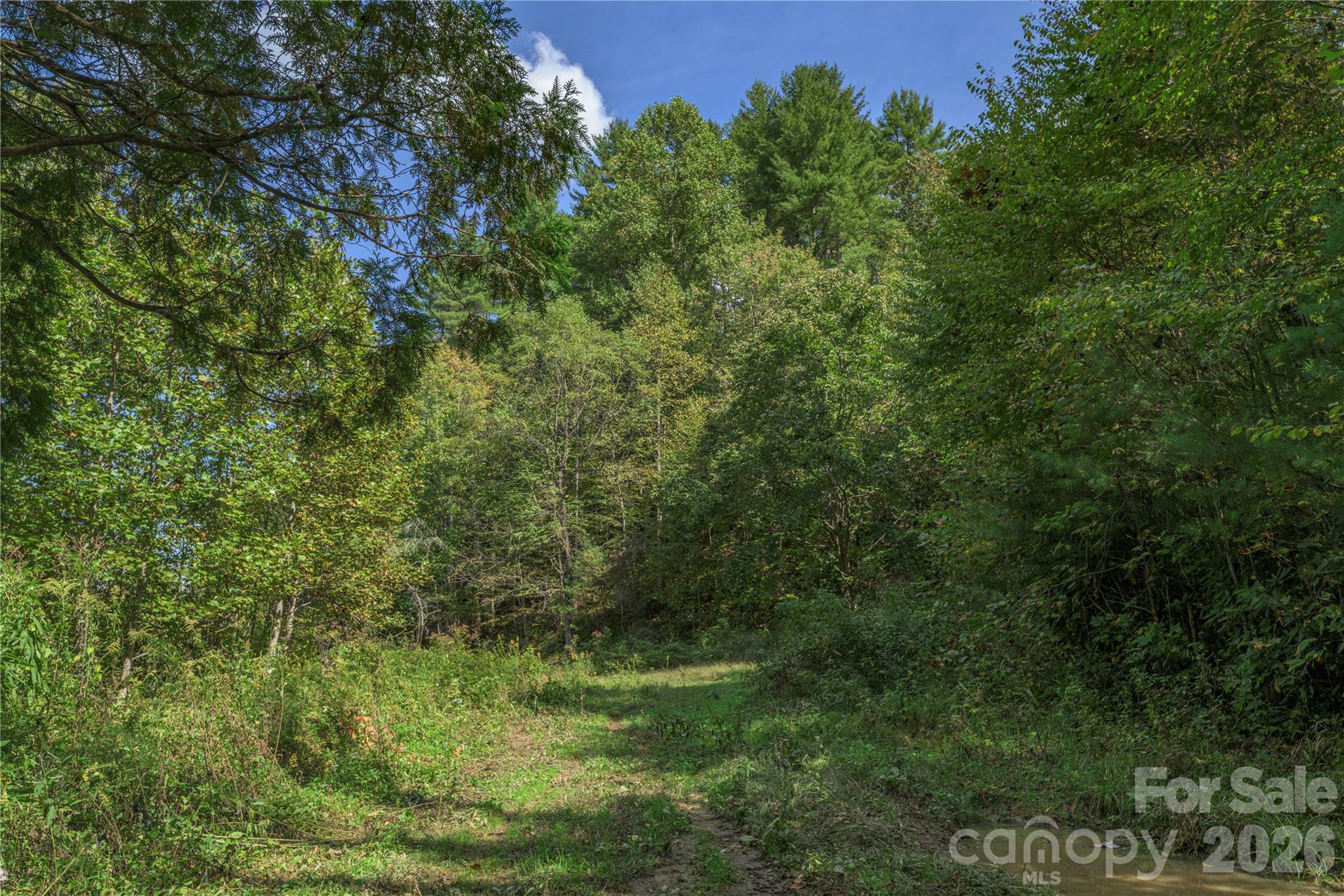 Acreage at 10281 White Oak Road, Waynesville, photo 7 of 22