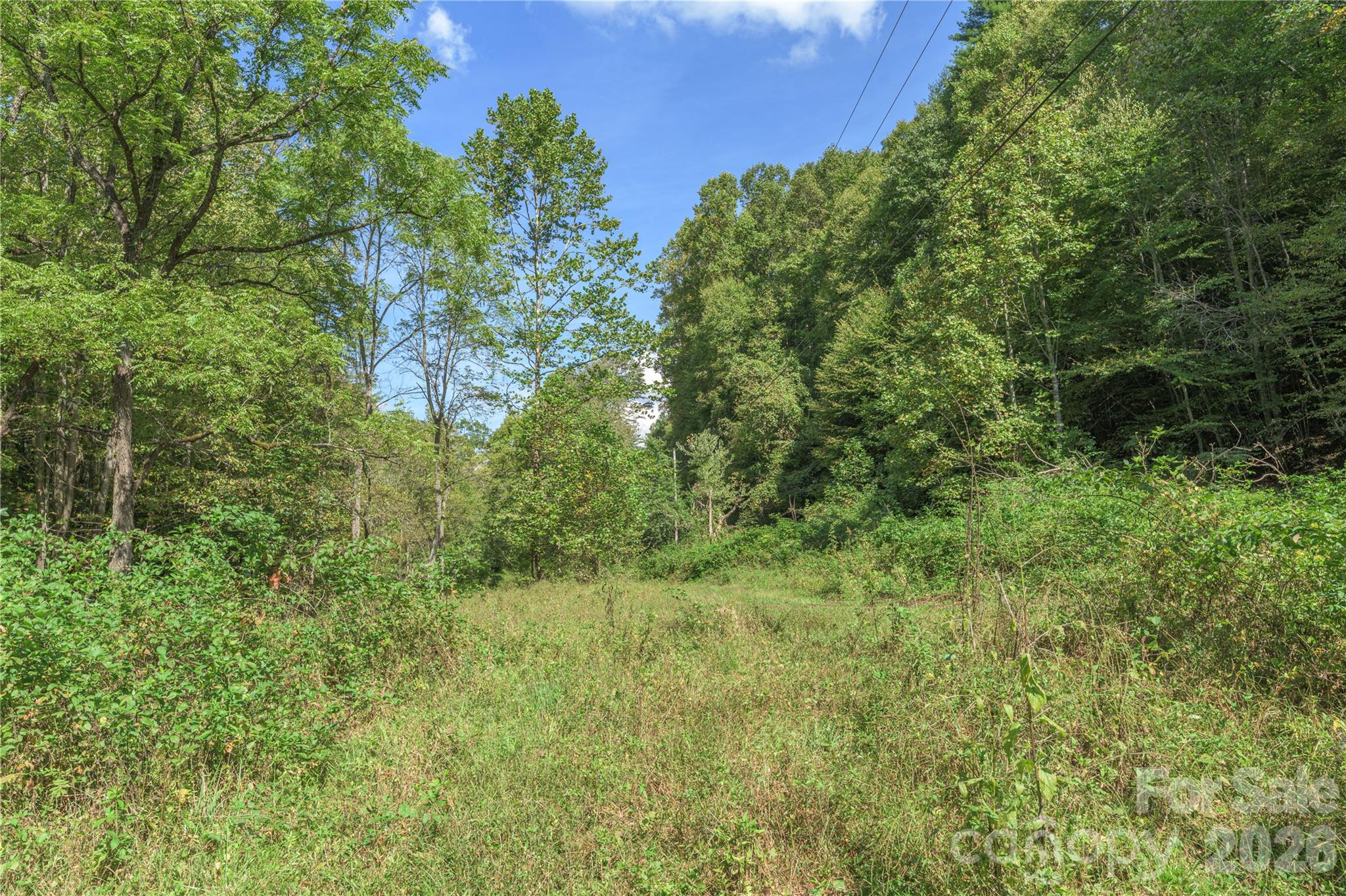 Acreage at 10281 White Oak Road, Waynesville, photo 8 of 22