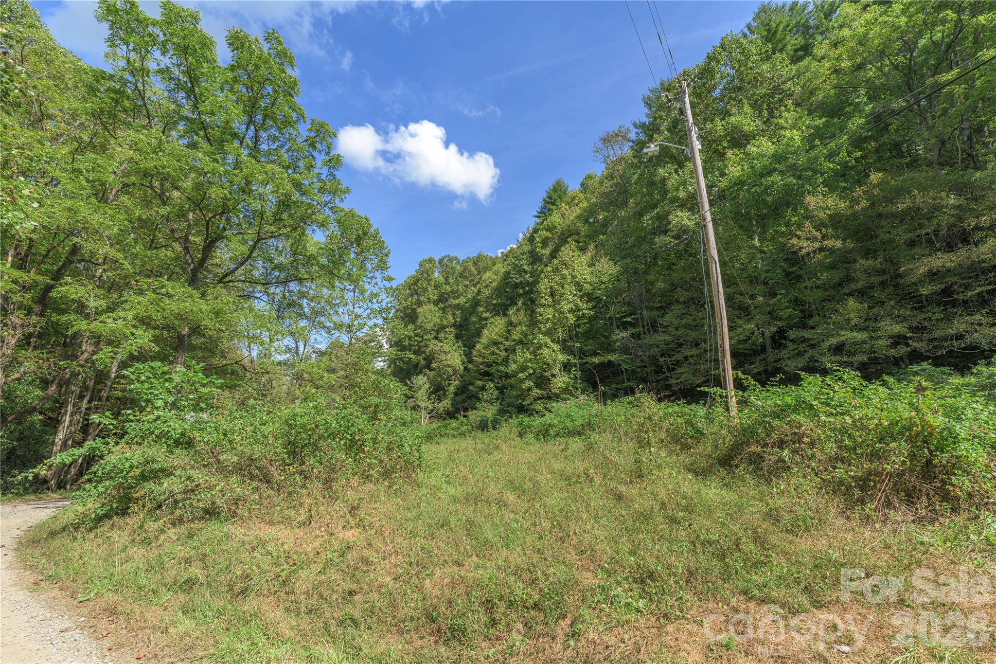 Acreage at 10281 White Oak Road, Waynesville, photo 9 of 22