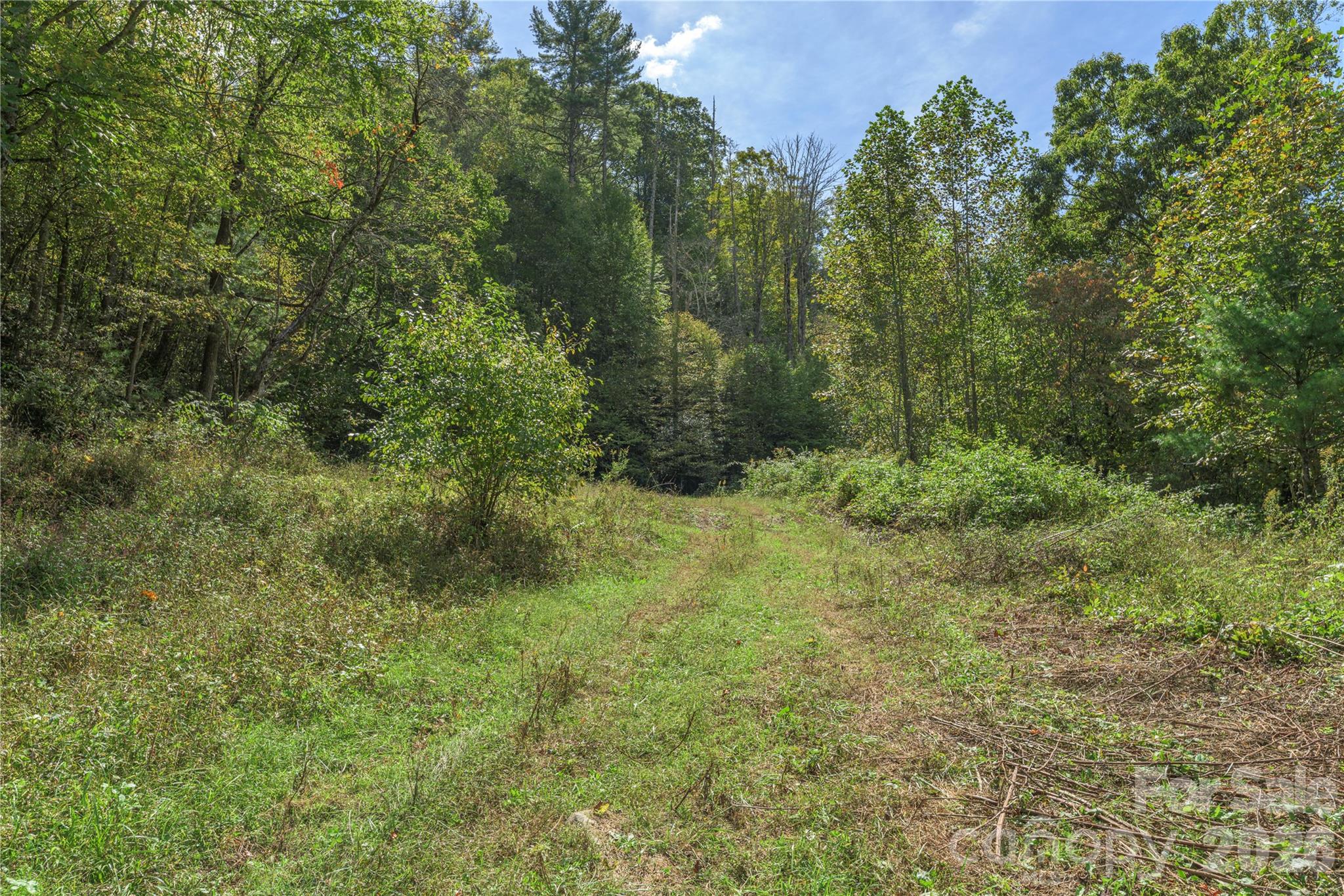Acreage at 10281 White Oak Road, Waynesville, photo 10 of 22