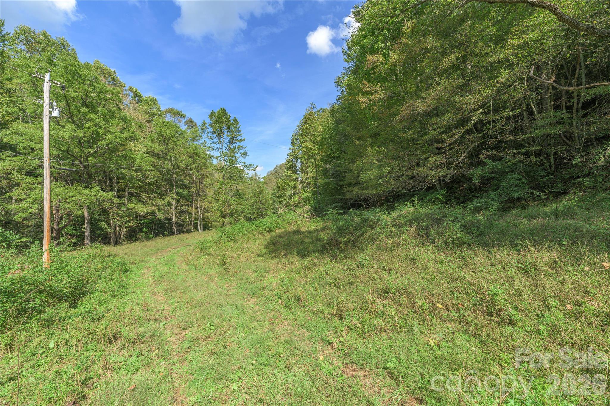 Acreage at 10281 White Oak Road, Waynesville, photo 11 of 22