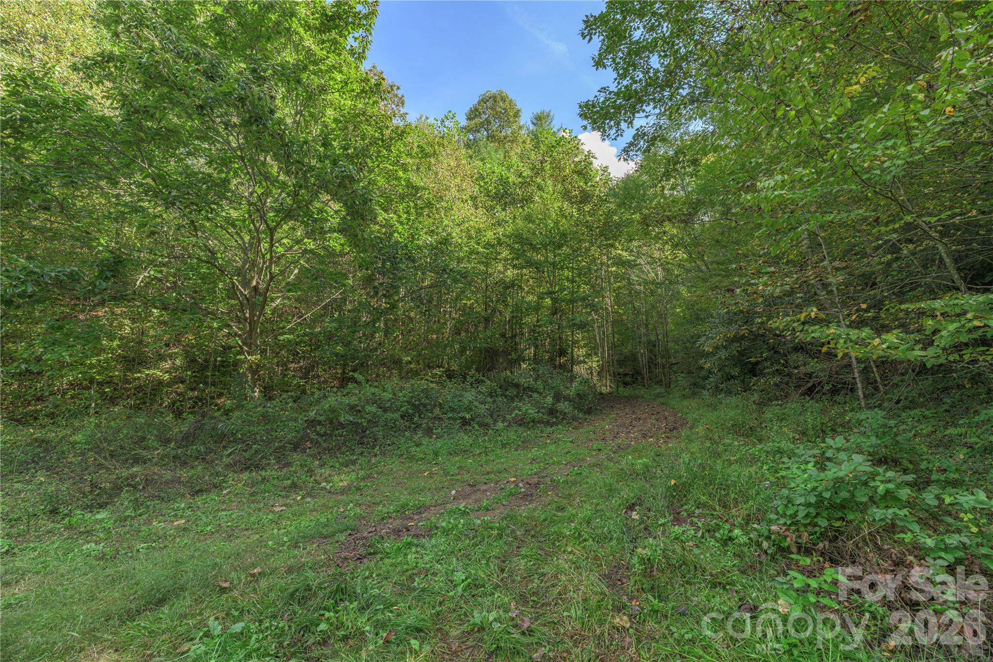 Acreage at 10281 White Oak Road, Waynesville, photo 12 of 22