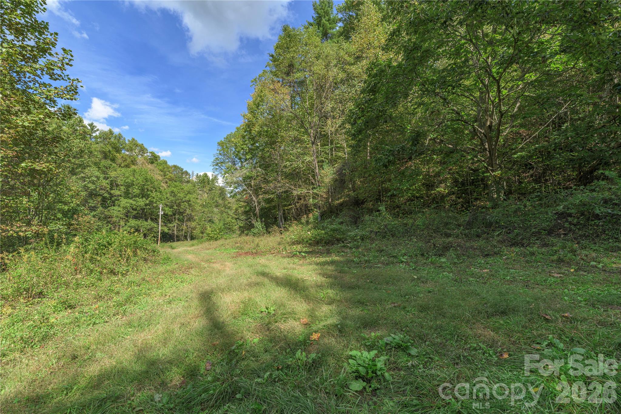 Acreage at 10281 White Oak Road, Waynesville, photo 13 of 22