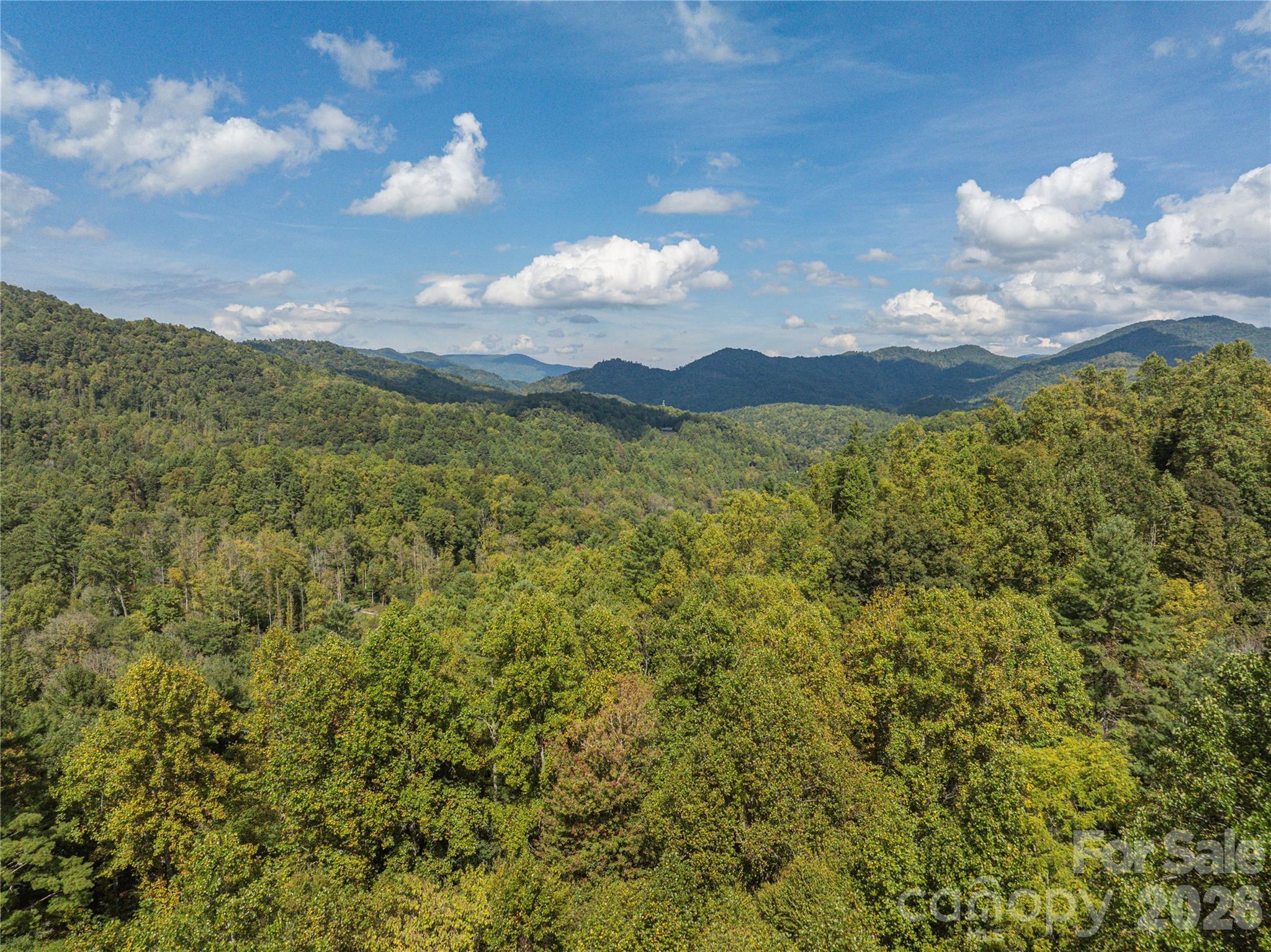 Acreage at 10281 White Oak Road, Waynesville, photo 19 of 22