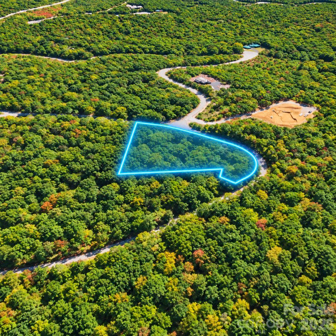 Lot at 0 Crooked Creek Road, Black Mountain, photo 2 of 10