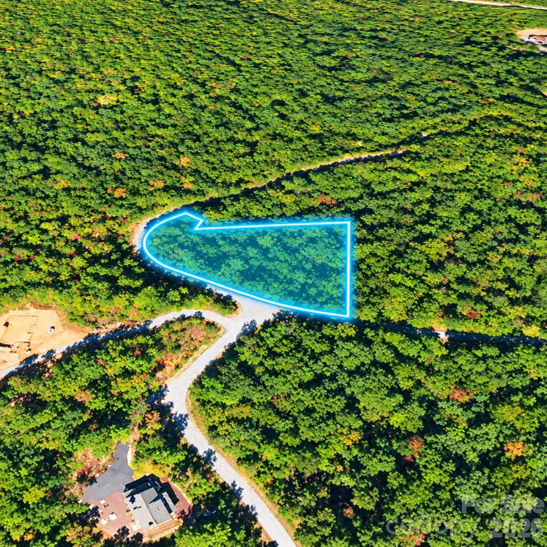 Lot at 0 Crooked Creek Road, Black Mountain, photo 3 of 10