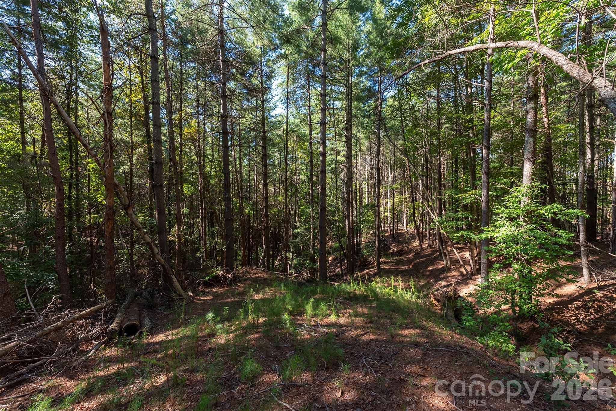 LOT #86 Crest View Drive
