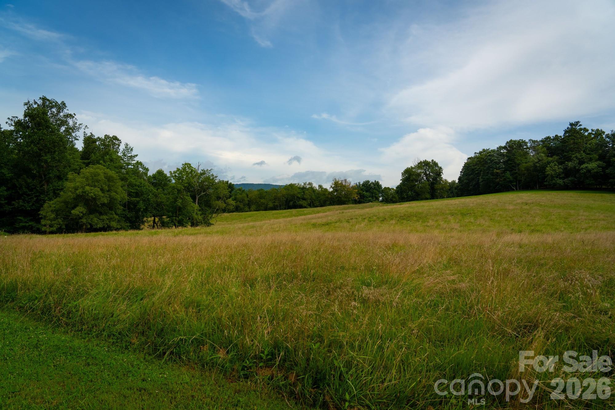 Single Family Residence at 185 McKinney Road, Etowah, photo 17 of 30