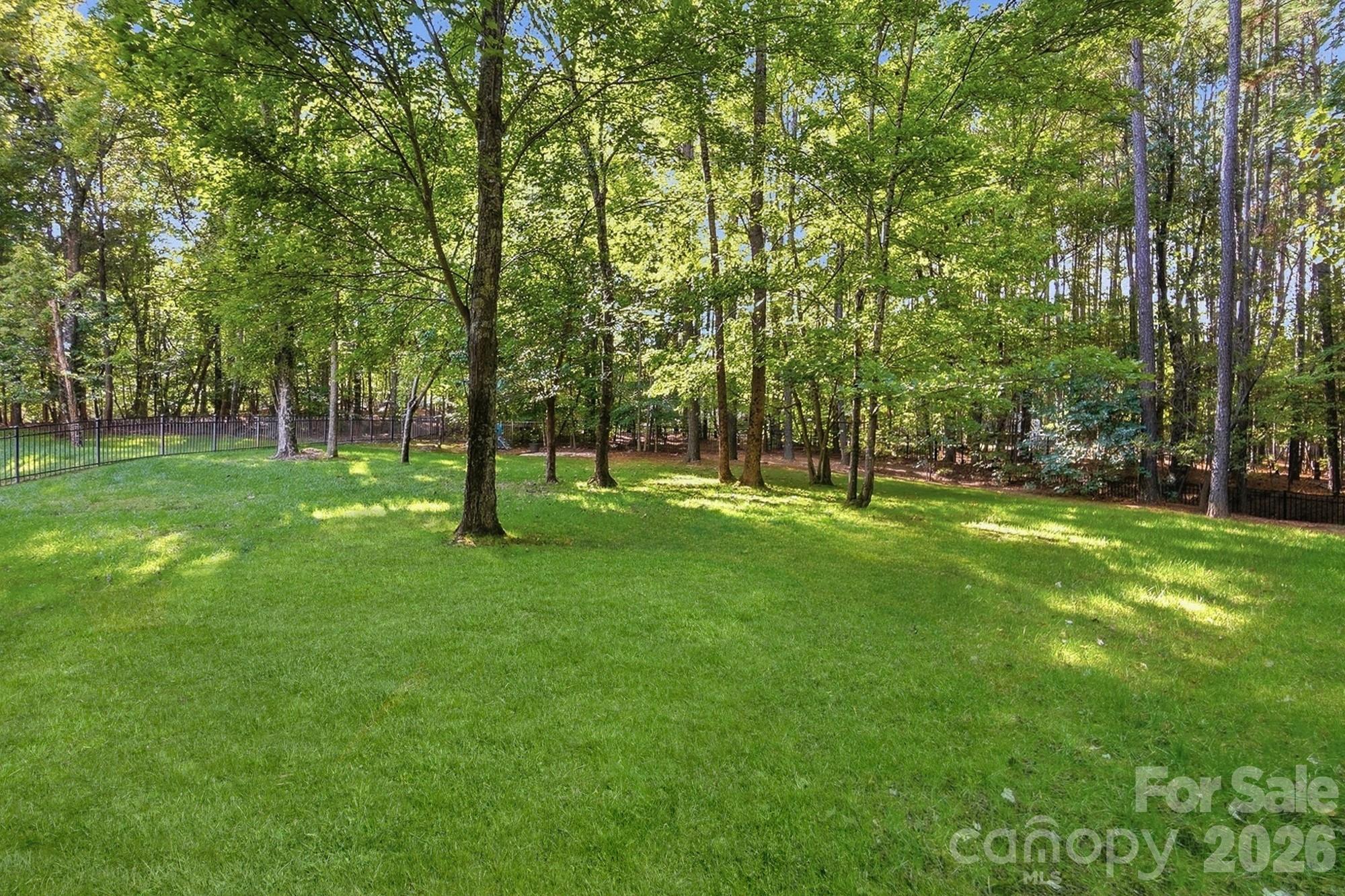 Flat backyard - 1205 Crofton Drive, Waxhaw
