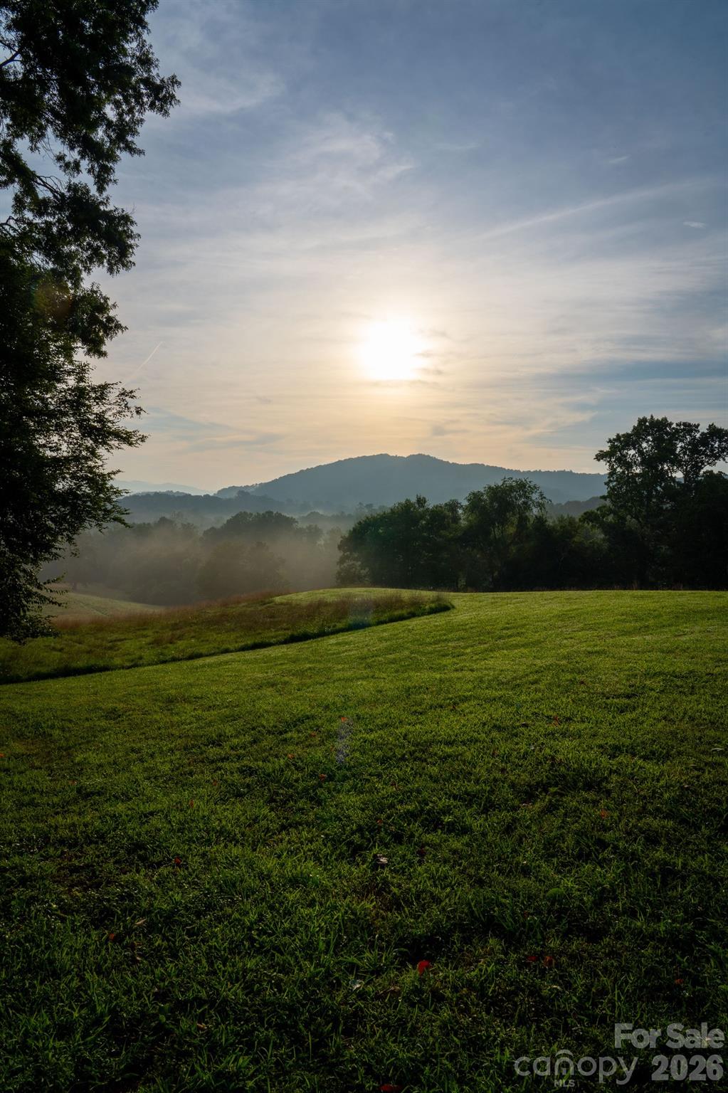 Acreage at 185 McKinney Road, Etowah, photo 16 of 24