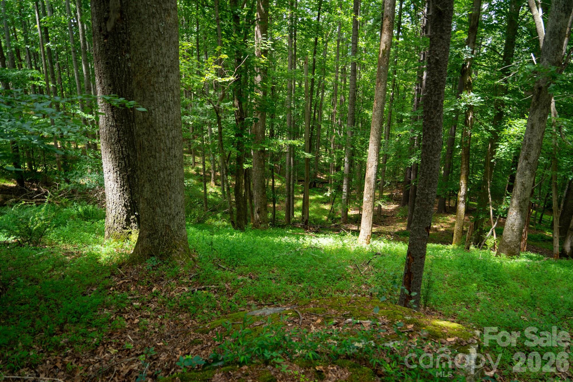 Acreage at 185 McKinney Road, Etowah, photo 21 of 24