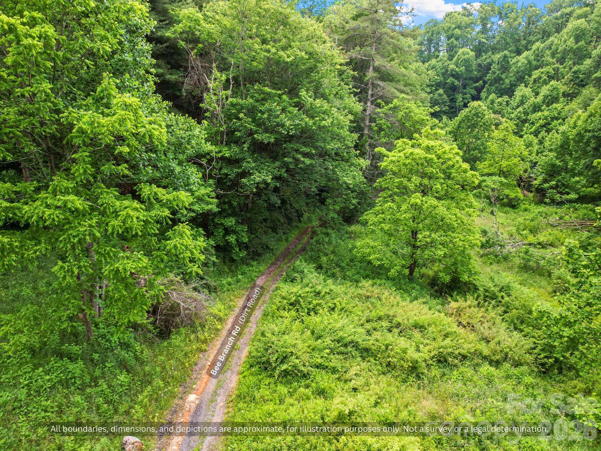 Two-track trail through green hardwood forest, great for ATV riding, hiking and hunting - 99999 Bee Branch Road, Bakersville