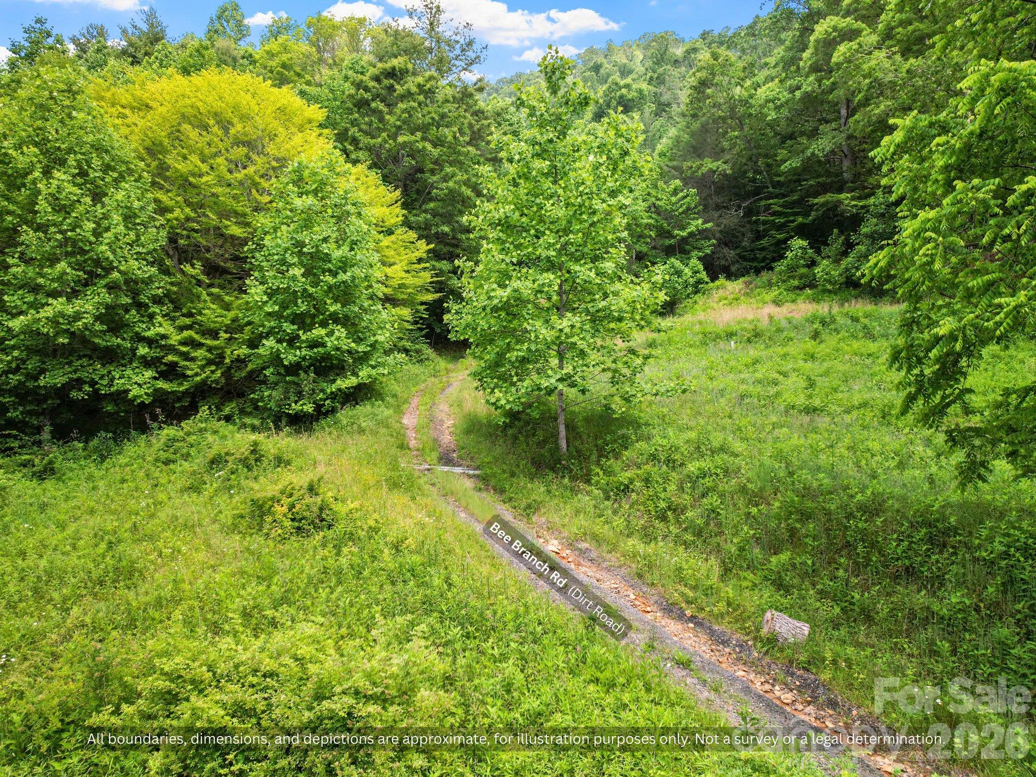 Trail along a sunny meadow edge, room for a garden, chickens or goats with no HOA - 99999 Bee Branch Road, Bakersville