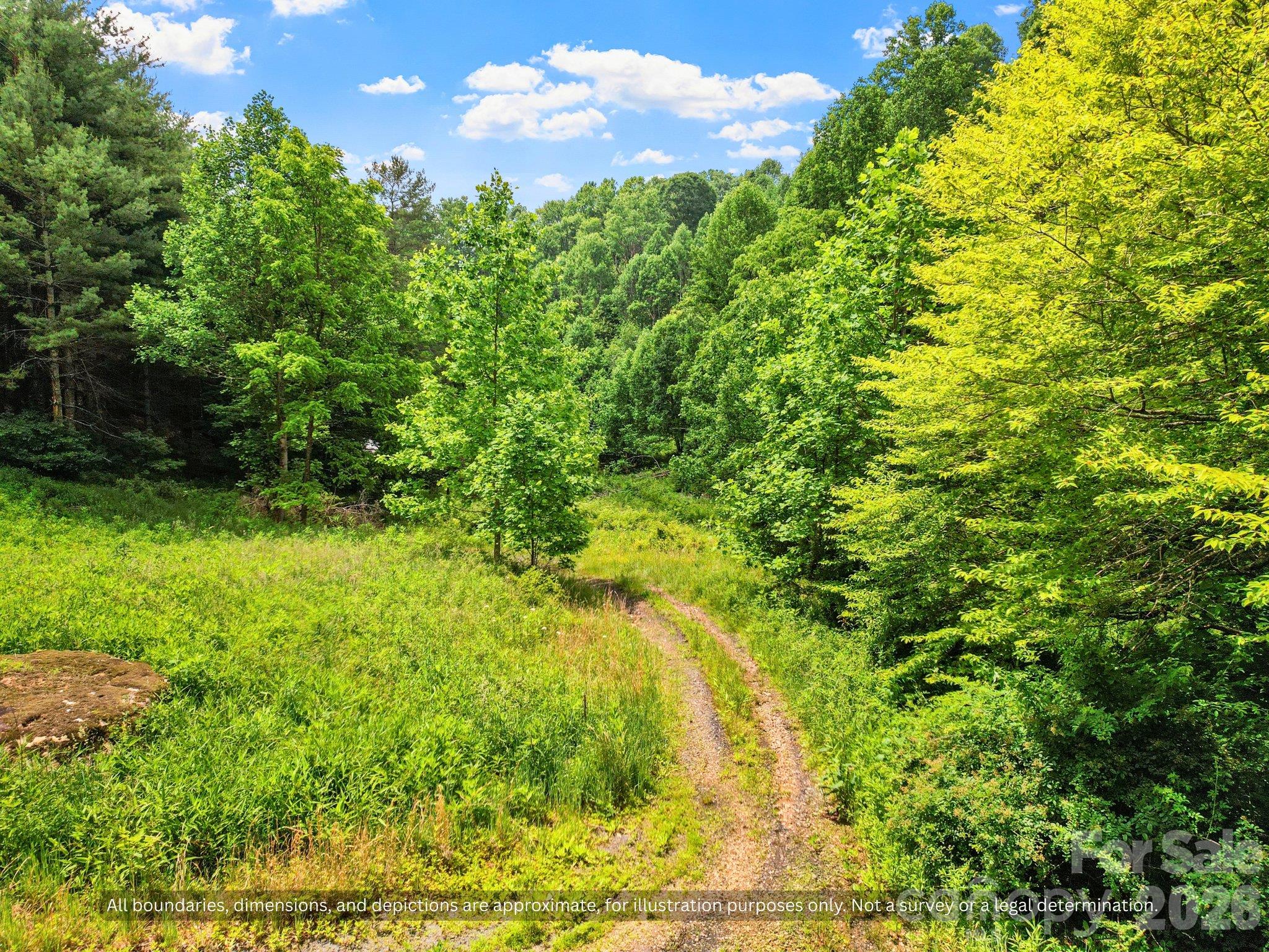 Open grassy clearing with a trail into the woods, a natural spot to picture your cabin site - 99999 Bee Branch Road, Bakersville