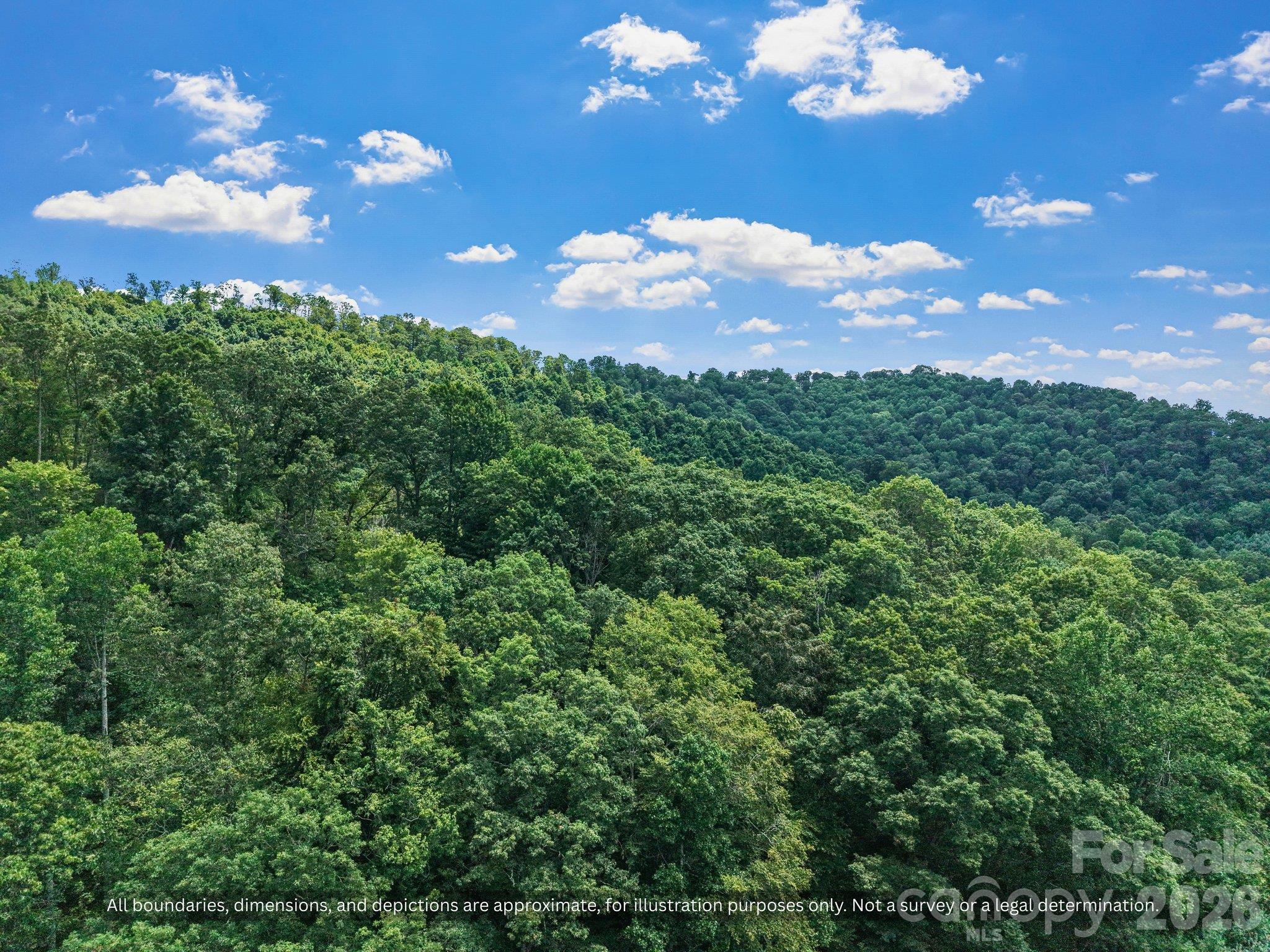 Rolling forested Blue Ridge ridgelines under blue skies in Mitchell County, NC - 99999 Bee Branch Road, Bakersville