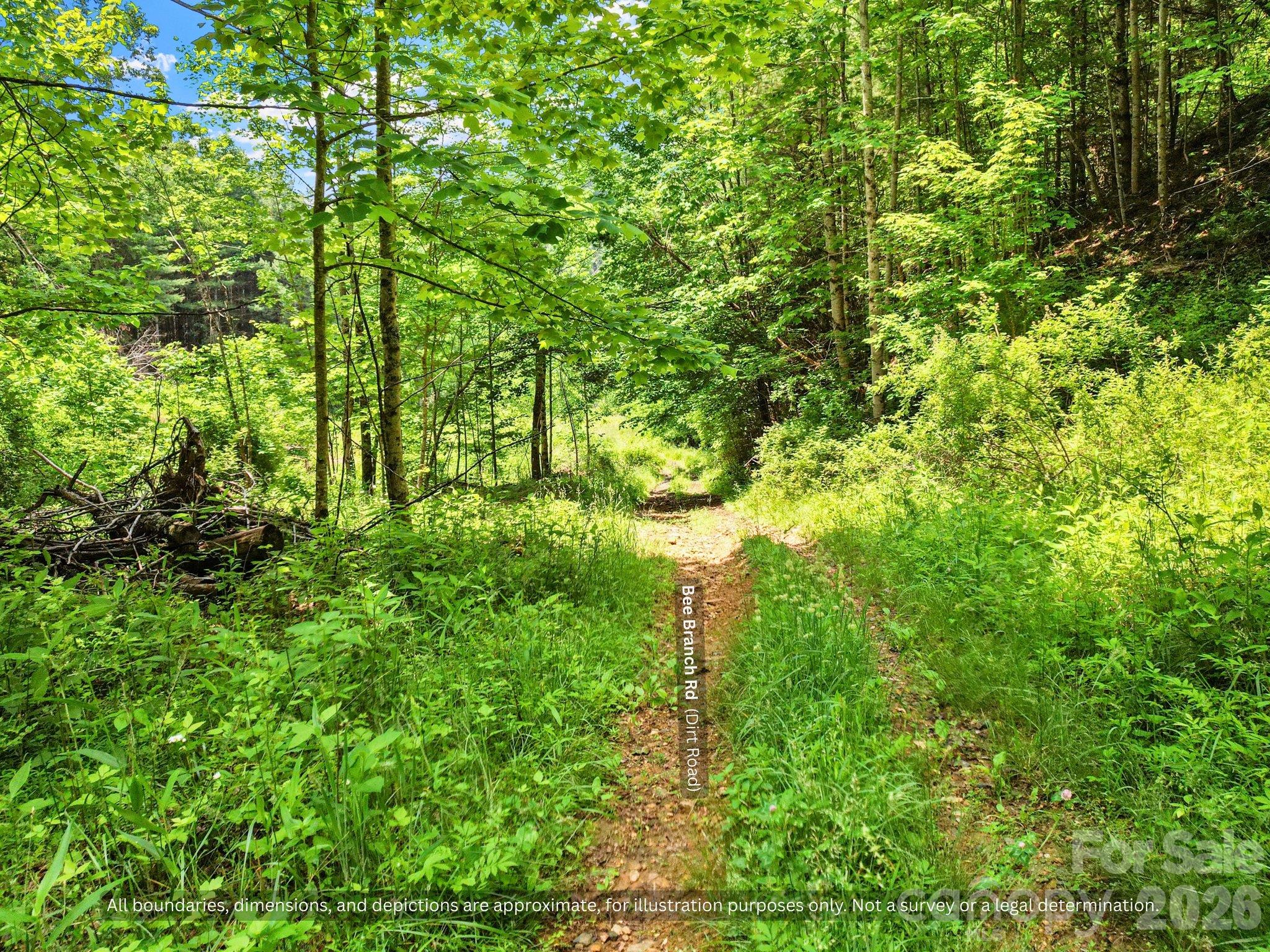 Shaded woodland trail through the property, ideal hunting land and weekend getaway - 99999 Bee Branch Road, Bakersville