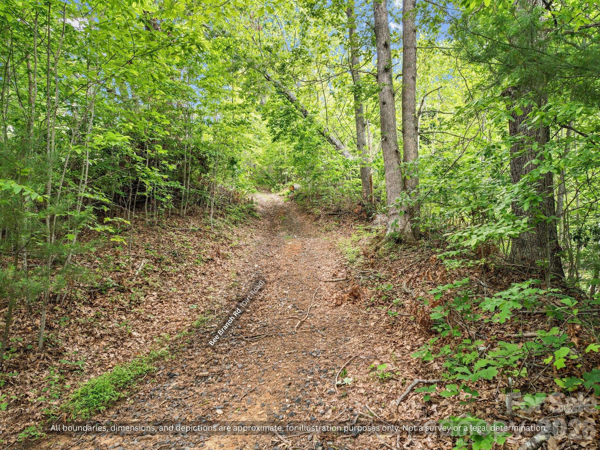 Dirt trail climbing through the woods on 15 acres of Western NC mountain land - 99999 Bee Branch Road, Bakersville