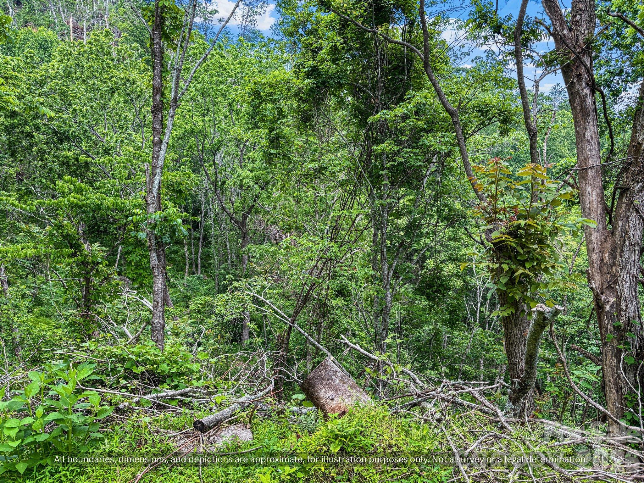 Natural wooded terrain with privacy, a true mountain retreat near Bakersville, NC - 99999 Bee Branch Road, Bakersville