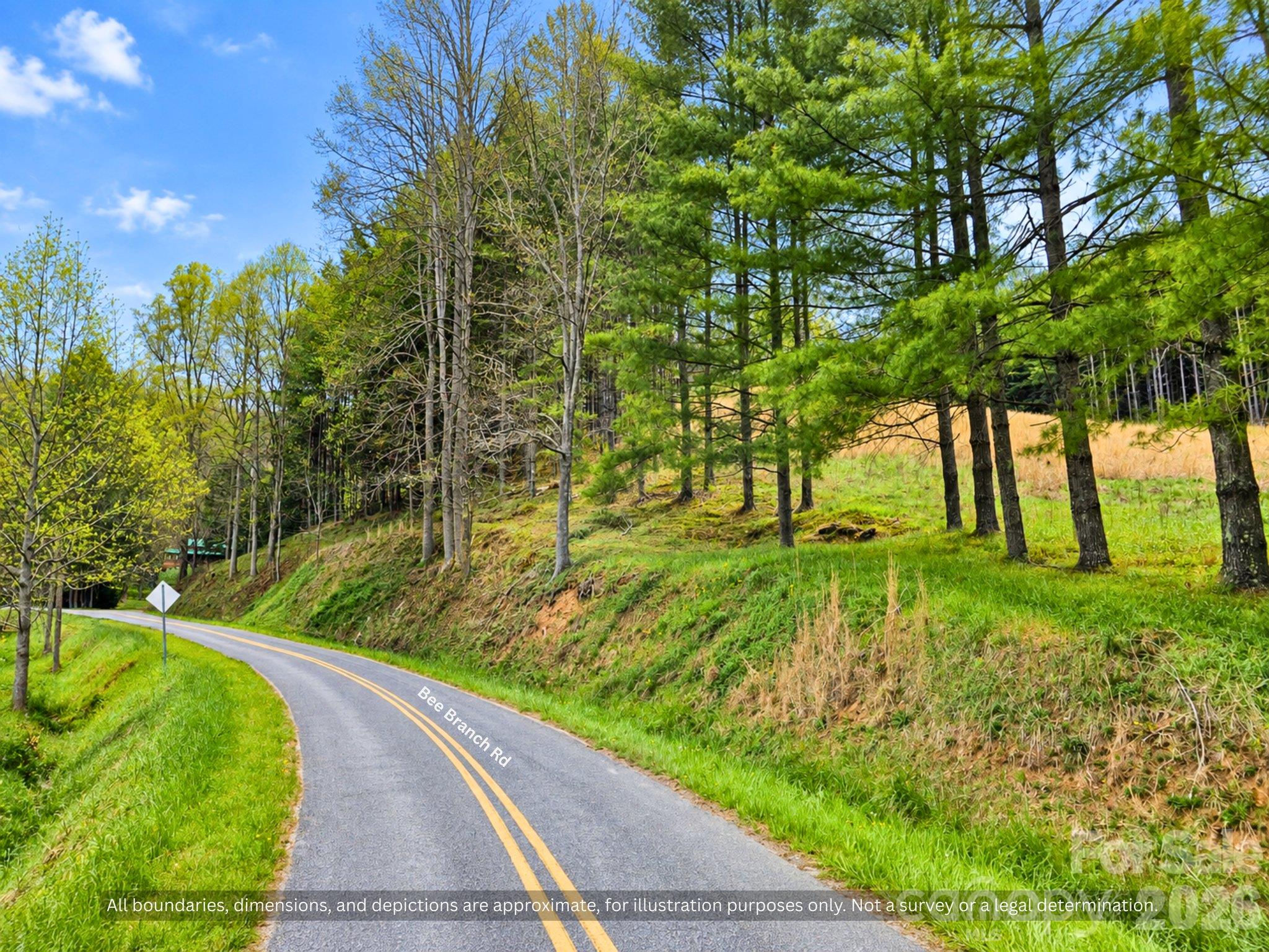 Quiet rural road approach, about 55 miles to Asheville and 33 miles to Johnson City, TN - 99999 Bee Branch Road, Bakersville
