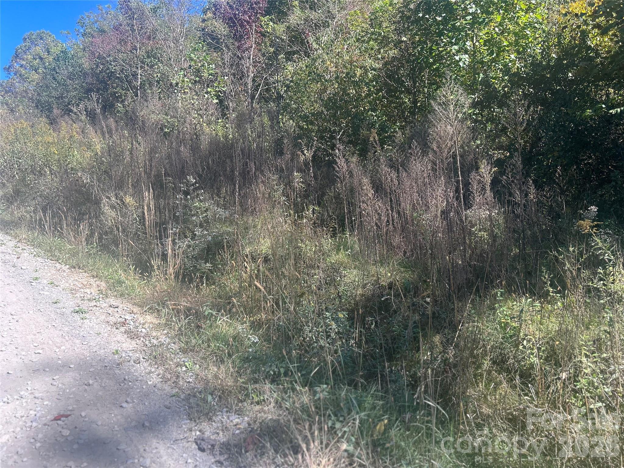 Easy access for building your dream home , - 00 Split Pine Cove, Clyde