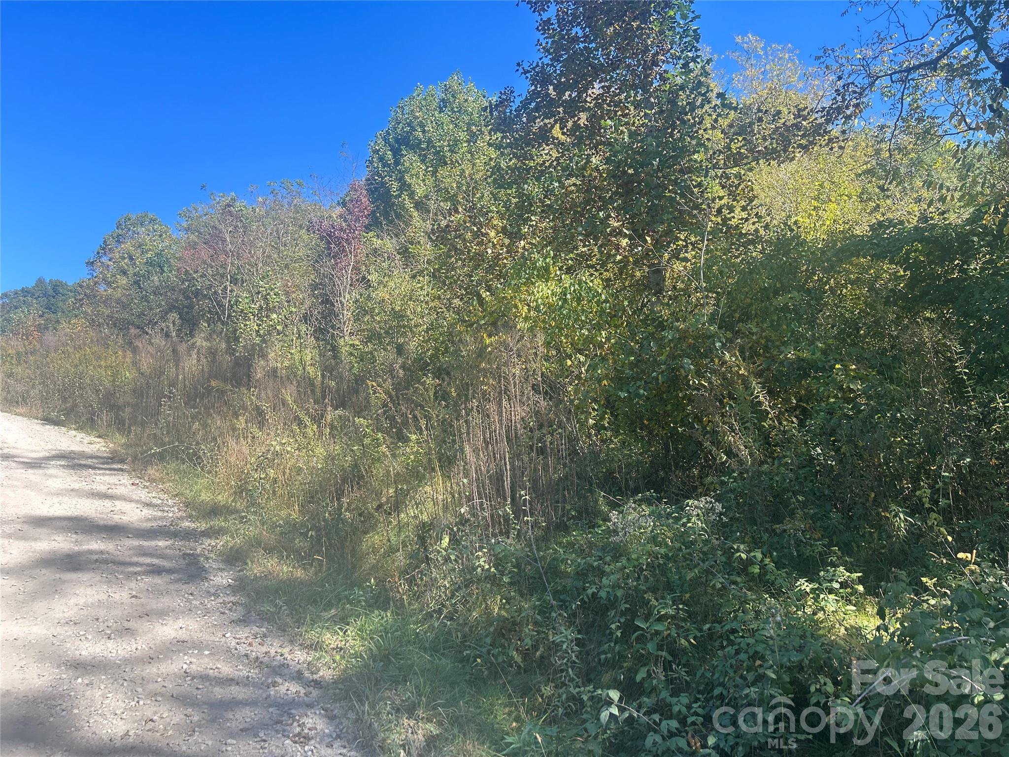 Split pine cove rd. Chose your home site - 00 Split Pine Cove, Clyde