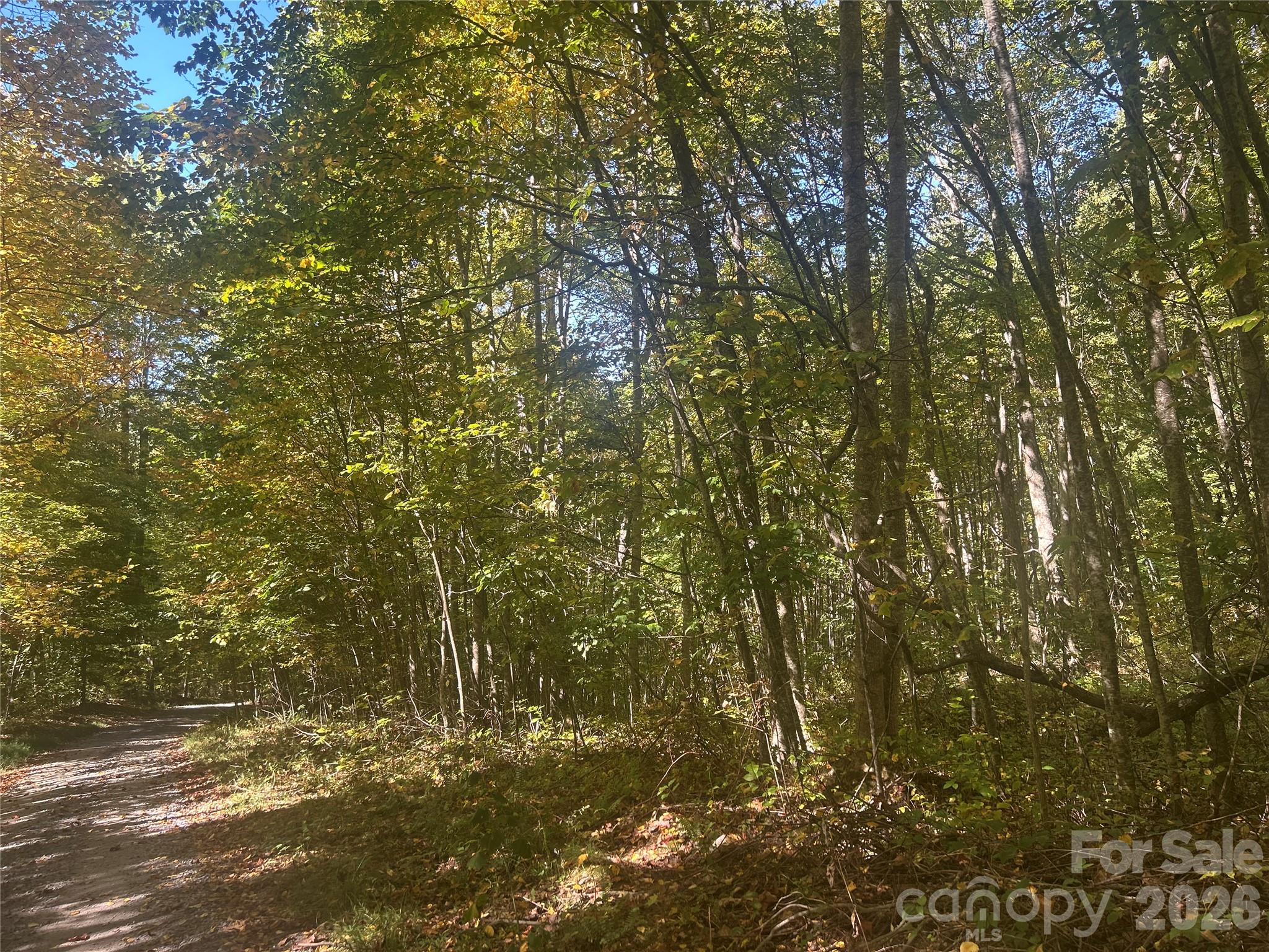 Private - 00 Split Pine Cove, Clyde