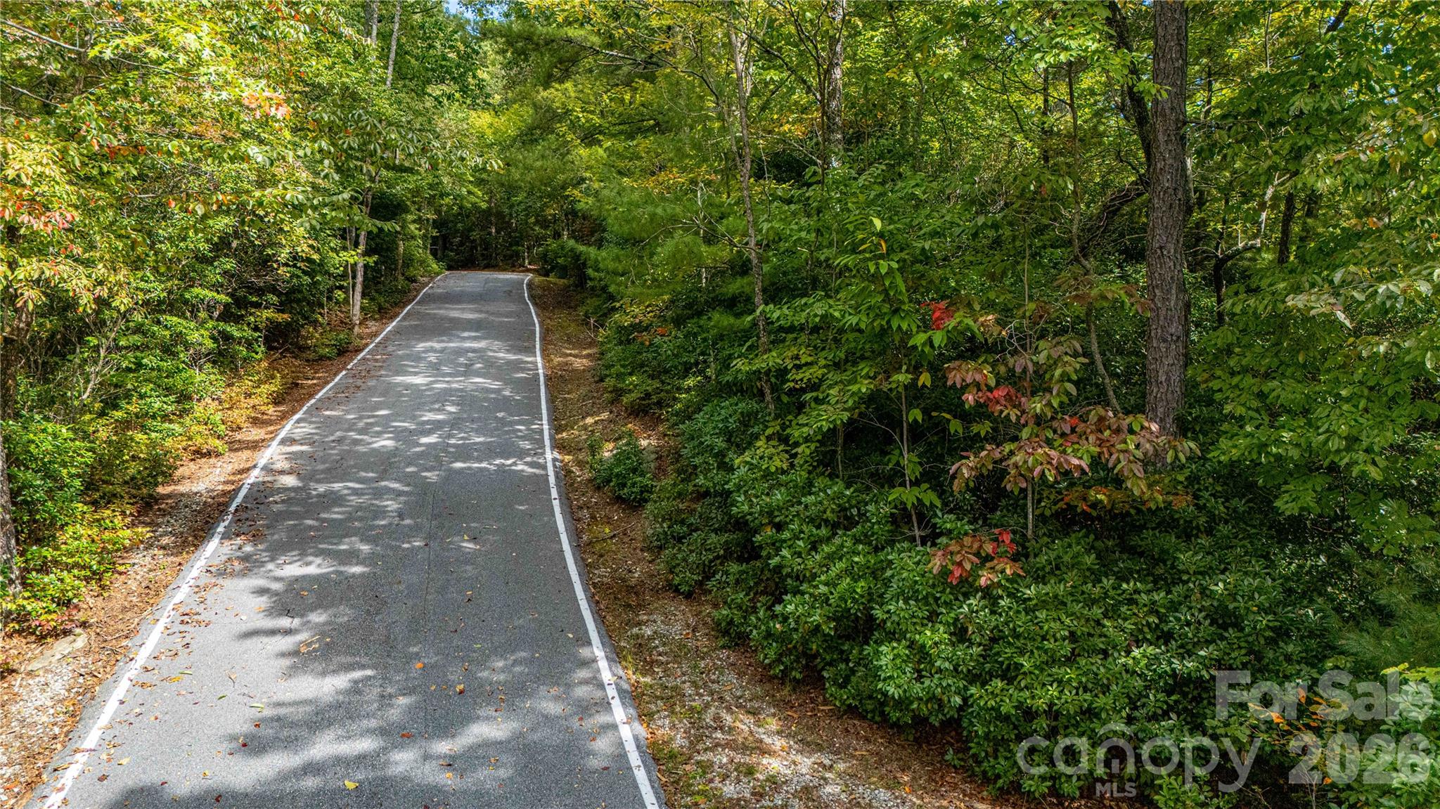 Lot at 49R Quartz Mine Road, Lake Toxaway, photo 3 of 20
