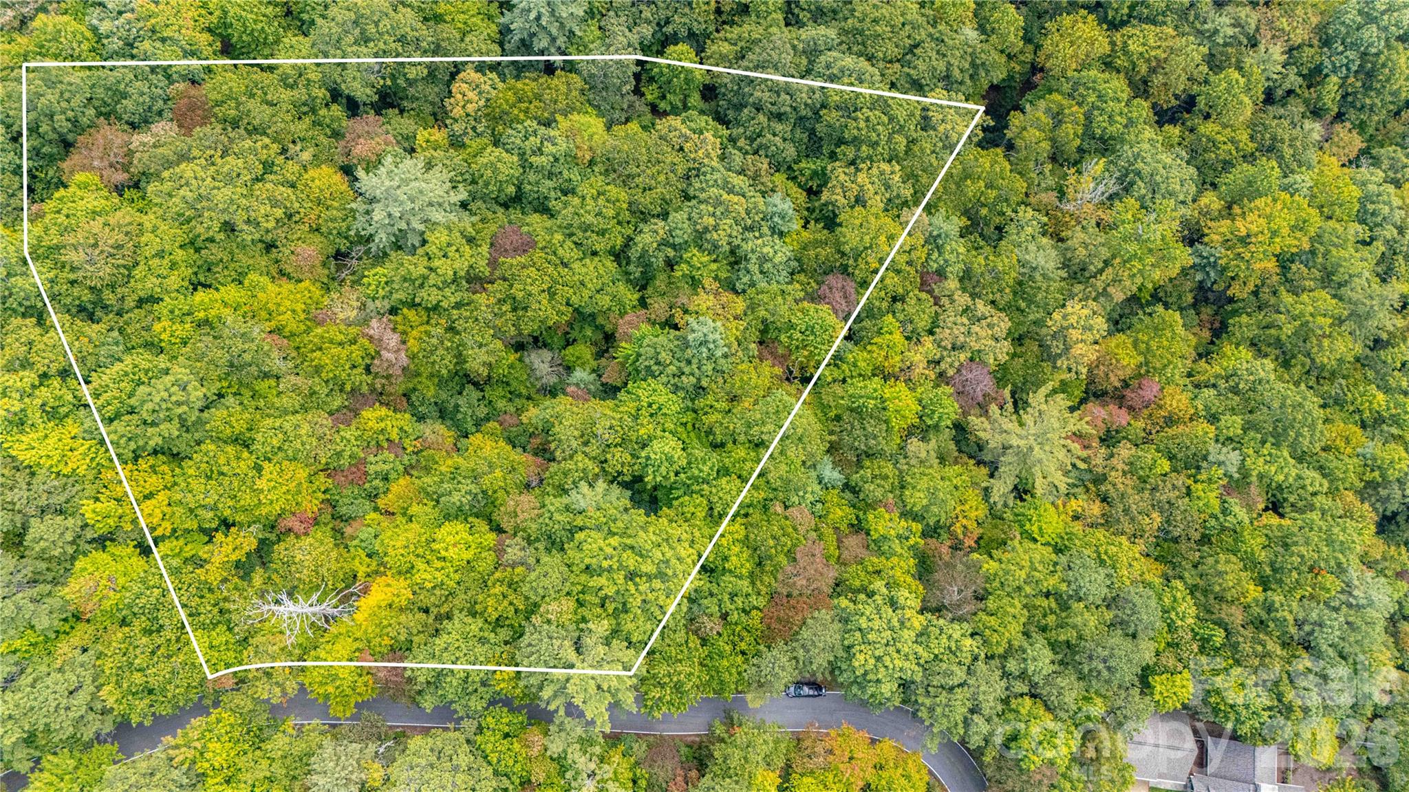 Lot at 49R Quartz Mine Road, Lake Toxaway, photo 4 of 20