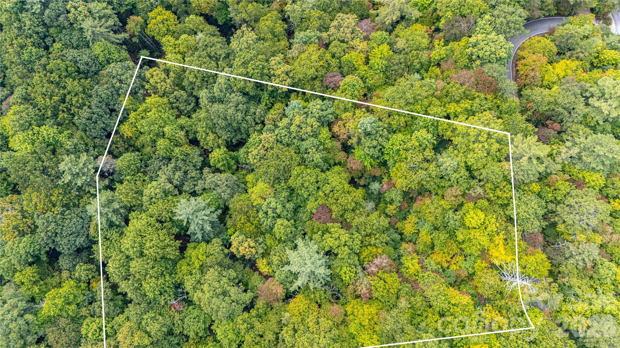 Lot at 49R Quartz Mine Road, Lake Toxaway, photo 5 of 20