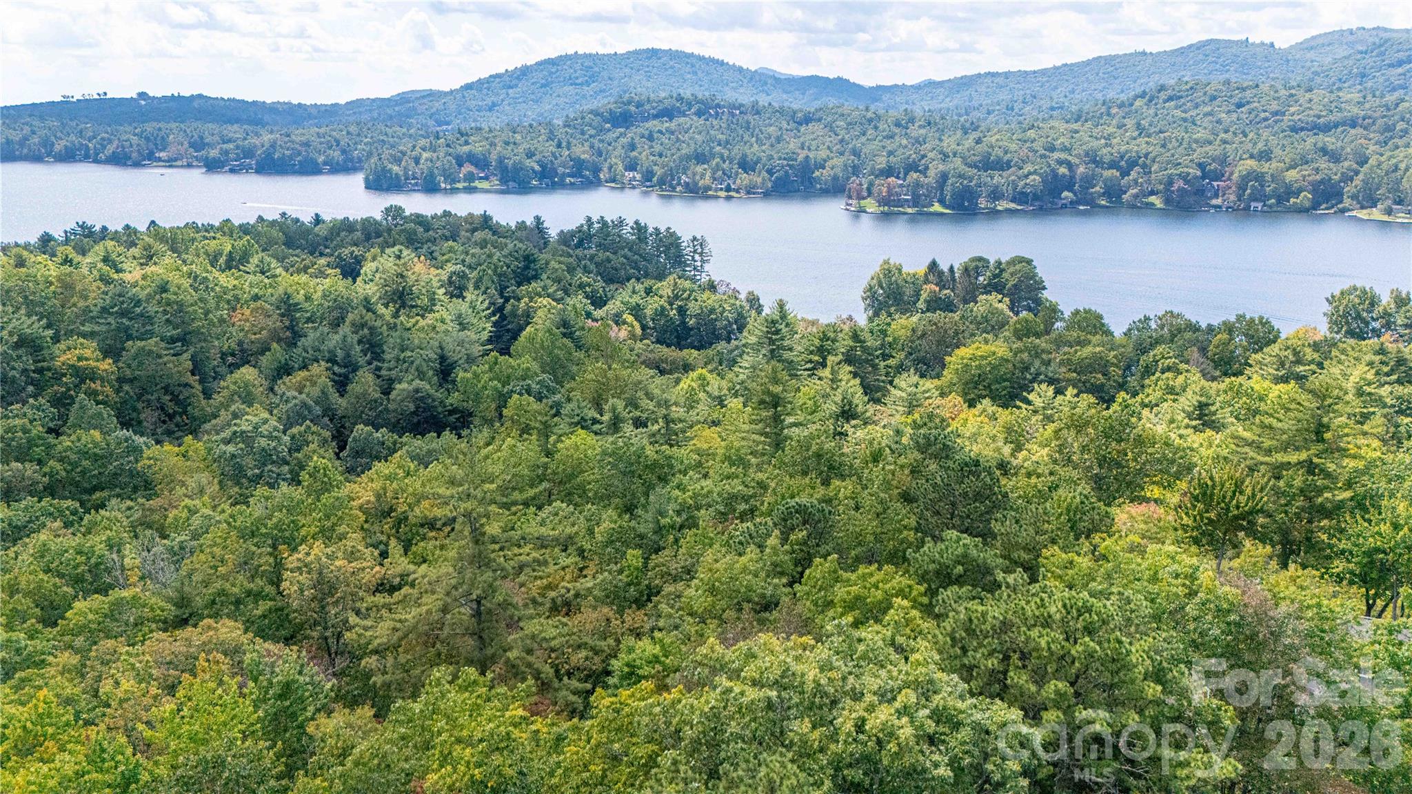 Lot at 49R Quartz Mine Road, Lake Toxaway, photo 10 of 20