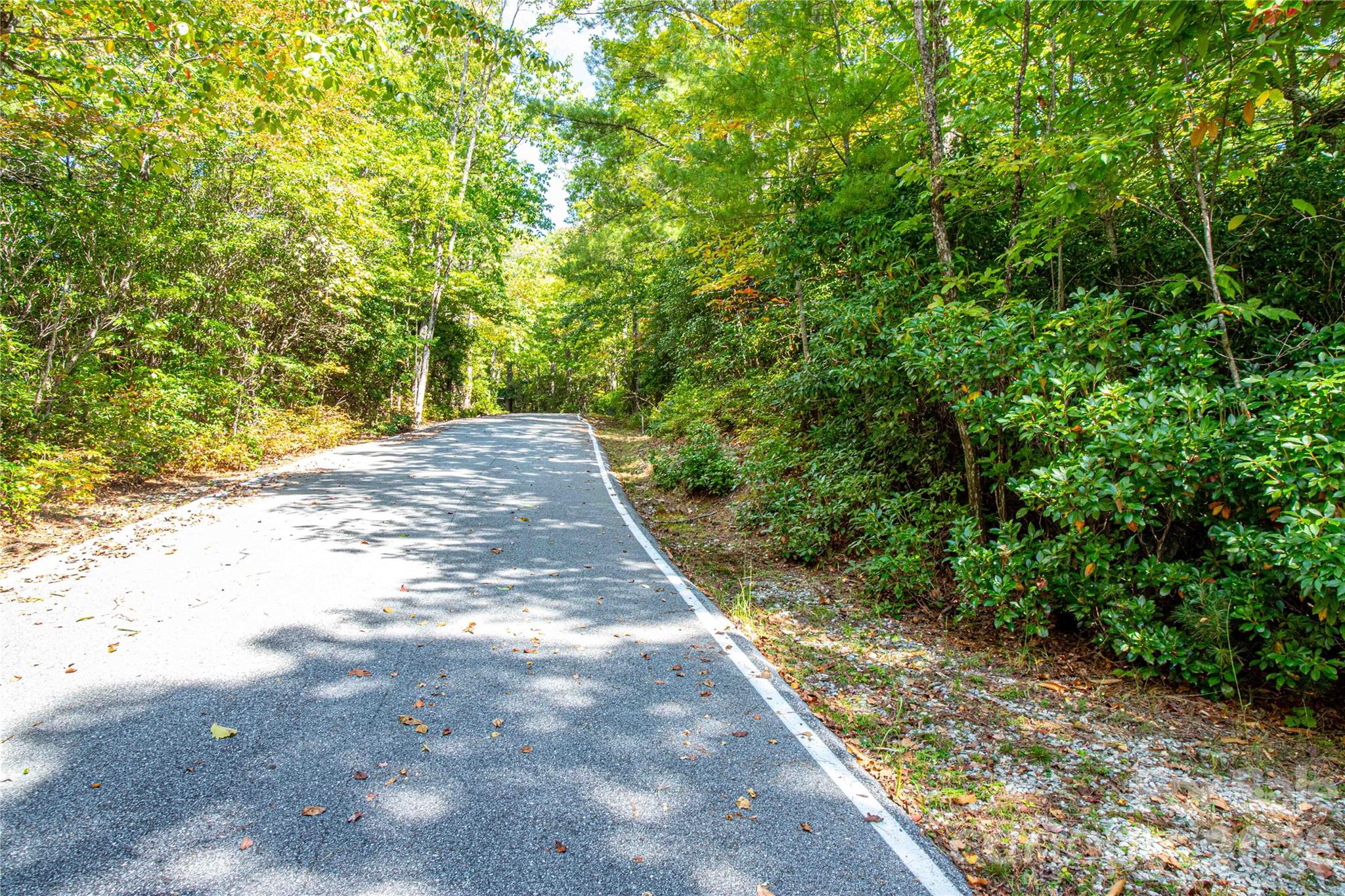 Lot at 49R Quartz Mine Road, Lake Toxaway, photo 12 of 20