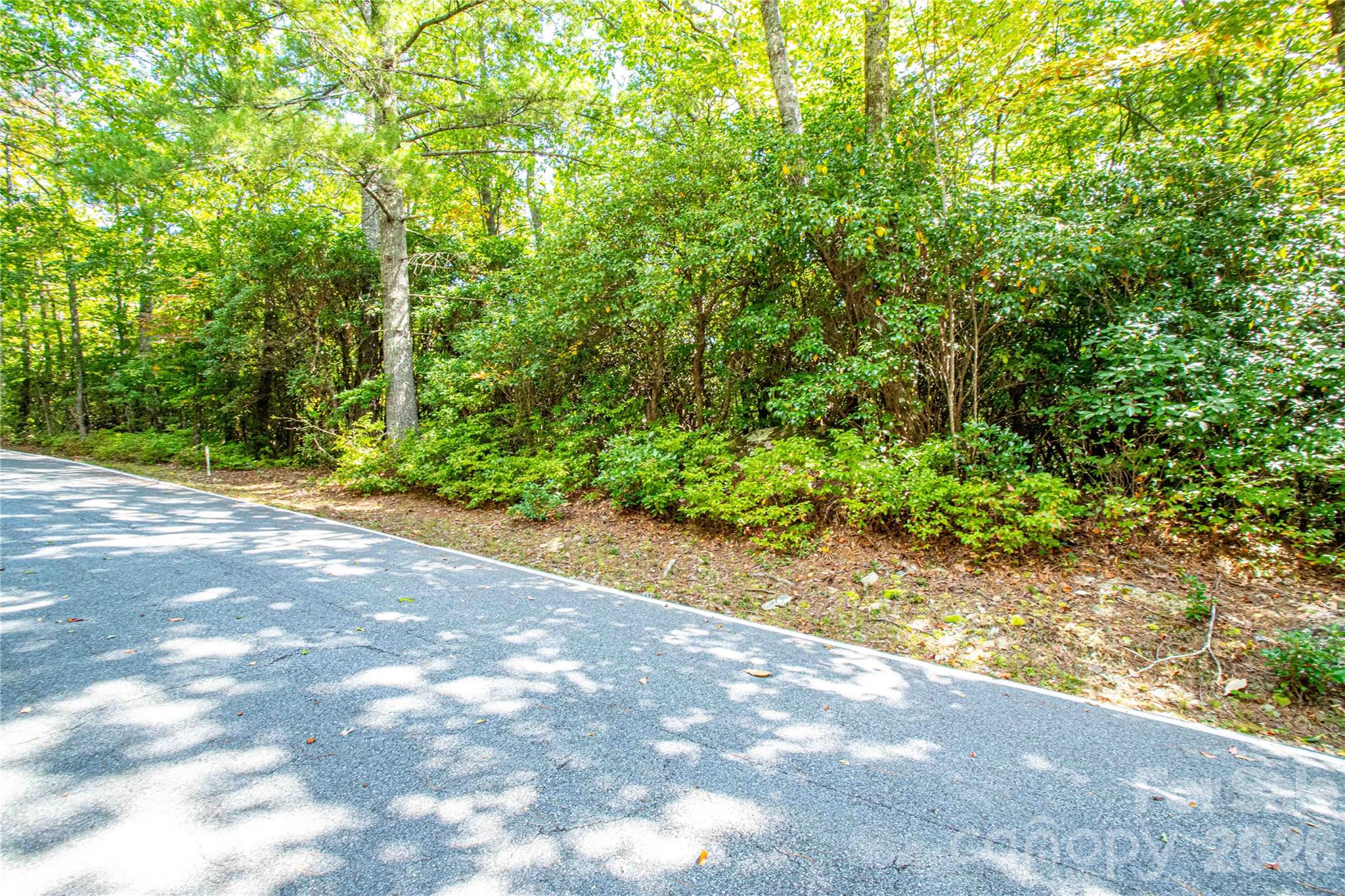Lot at 49R Quartz Mine Road, Lake Toxaway, photo 13 of 20