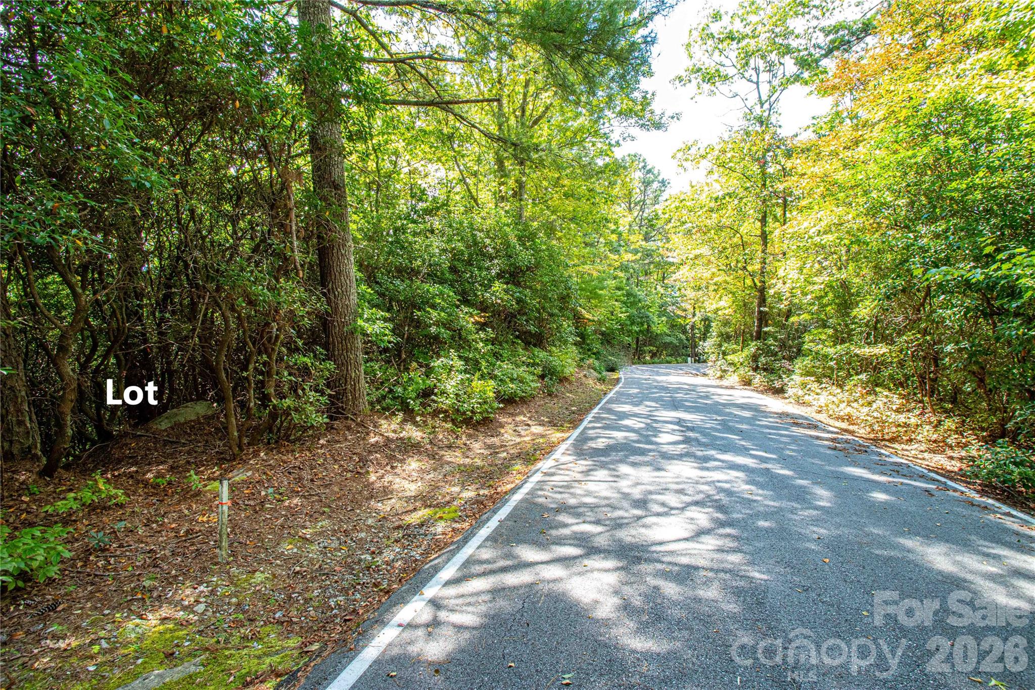 Lot at 49R Quartz Mine Road, Lake Toxaway, photo 14 of 20