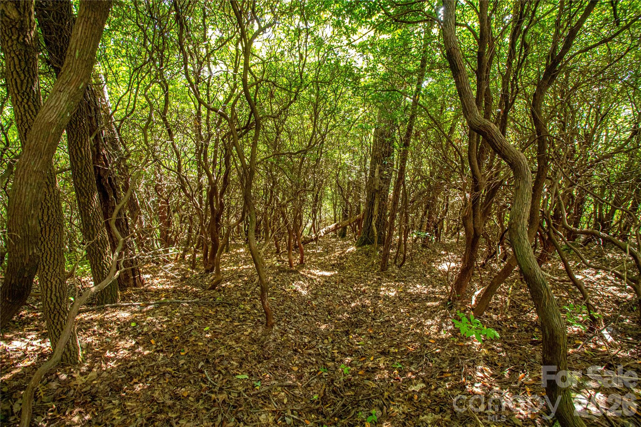 Lot at 49R Quartz Mine Road, Lake Toxaway, photo 15 of 20