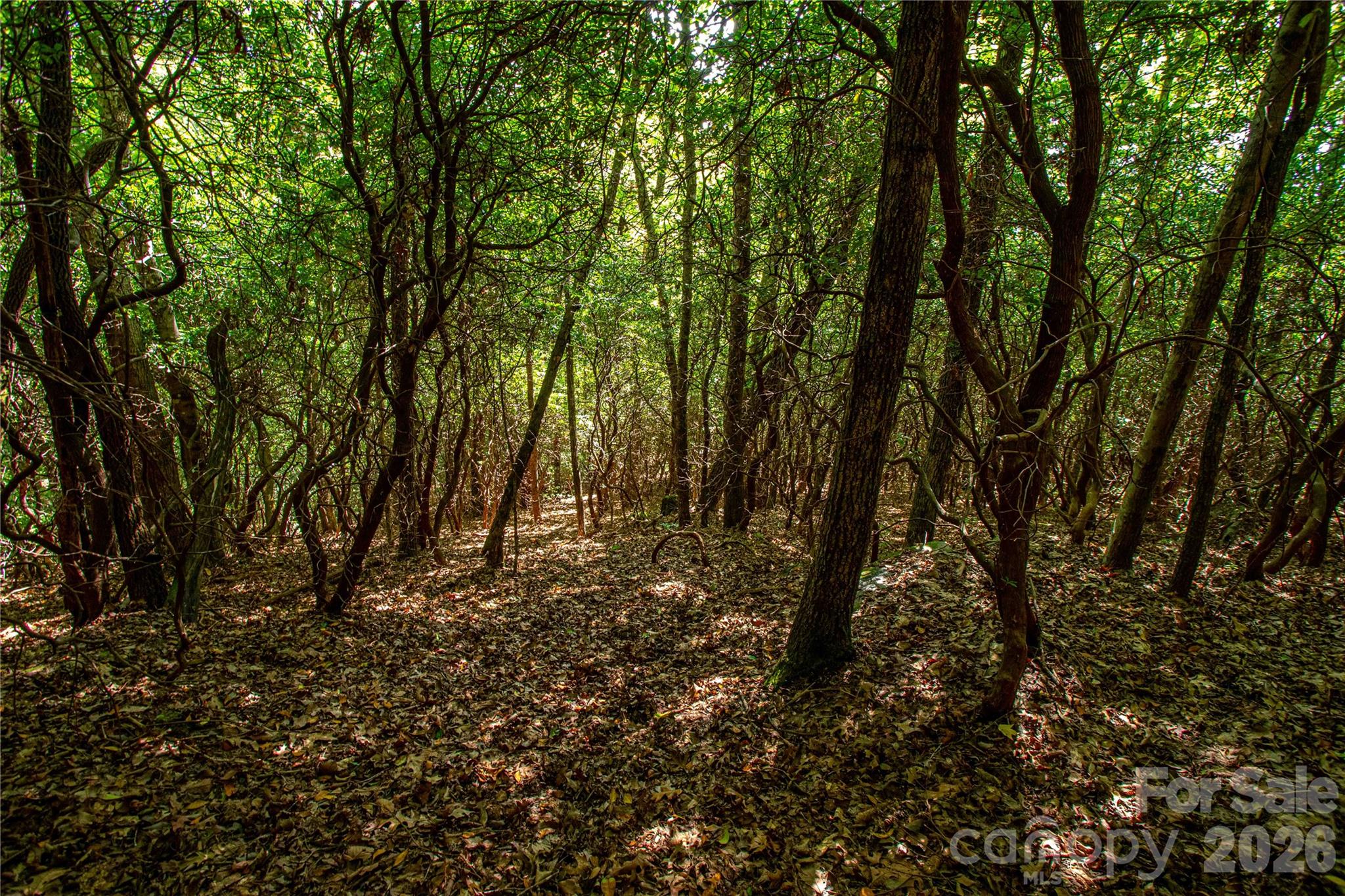 Lot at 49R Quartz Mine Road, Lake Toxaway, photo 16 of 20