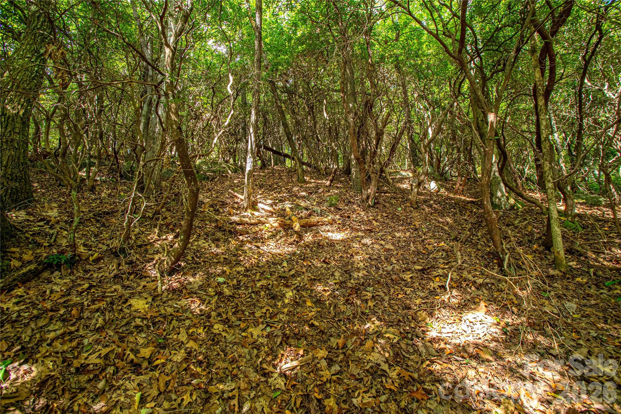 Lot at 49R Quartz Mine Road, Lake Toxaway, photo 17 of 20