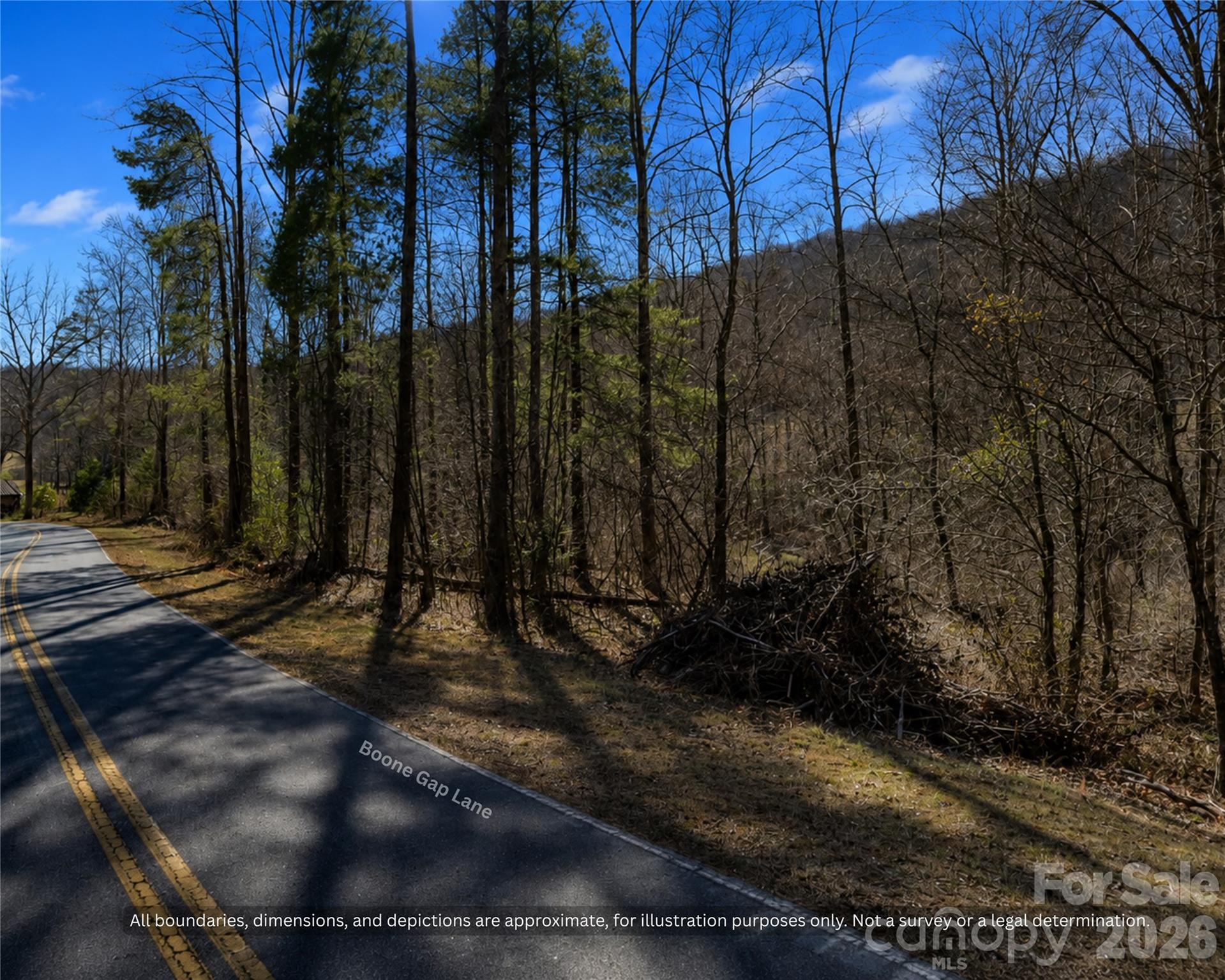 Road frontage on paved Boone Gap Lane with mature hardwoods along the property - 99999 Boone Gap Lane, Taylorsville