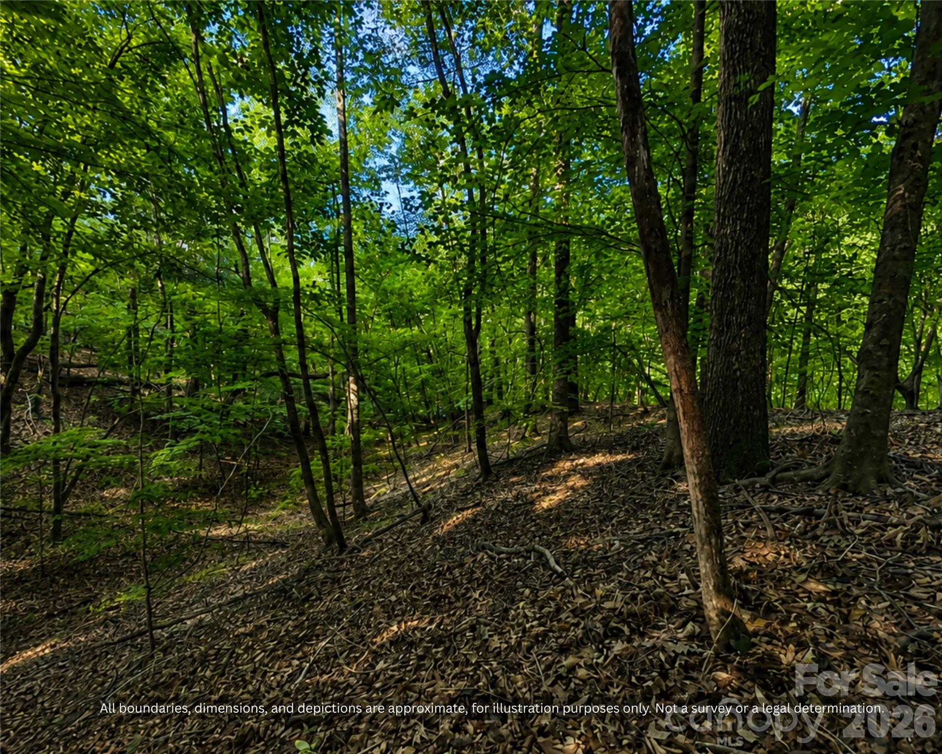 Open hardwood woods on the land, room for a home site, garden or mini farm - 99999 Boone Gap Lane, Taylorsville
