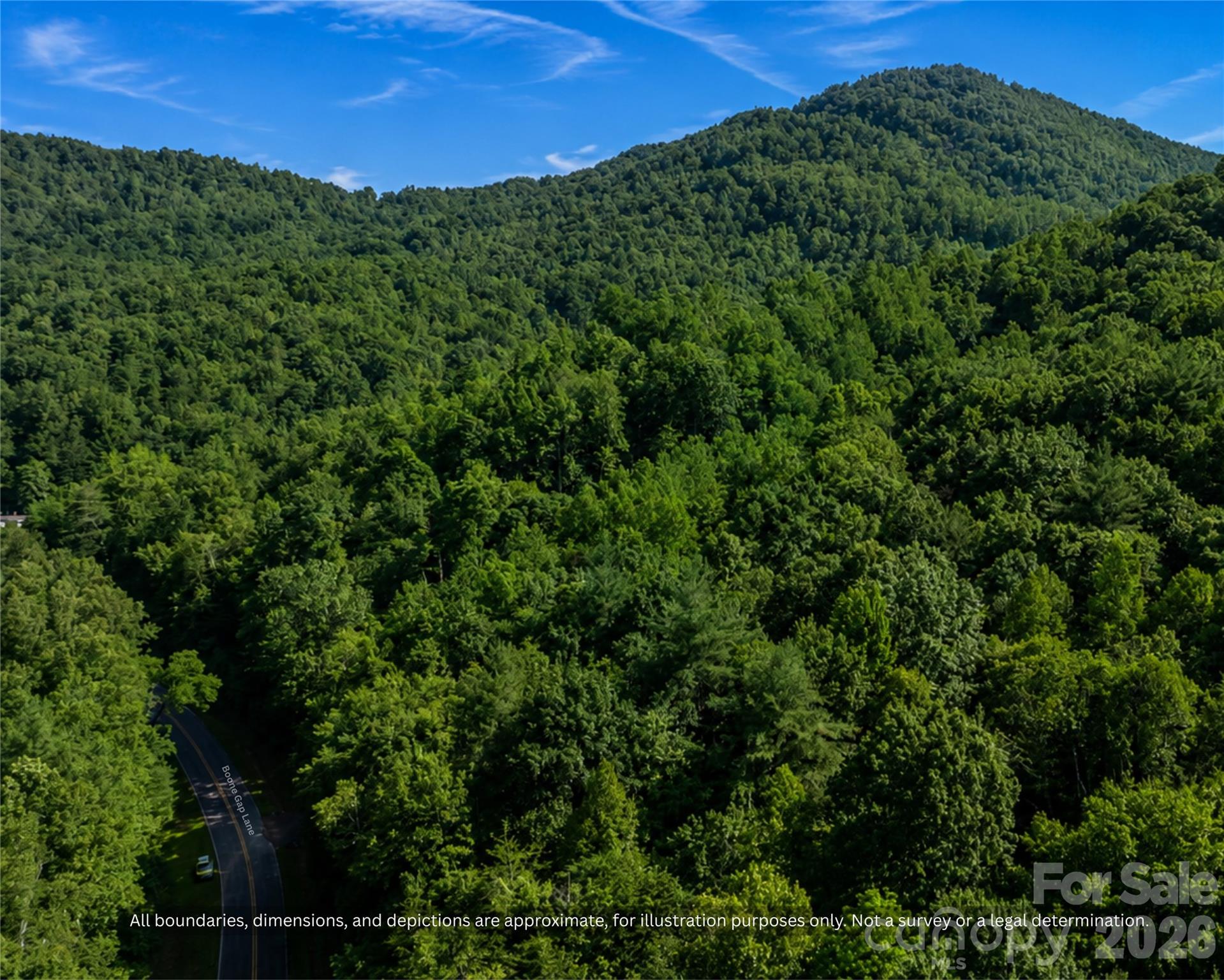 Thick hardwood canopy on rural land near Hickory and Wilkesboro, NC - 99999 Boone Gap Lane, Taylorsville