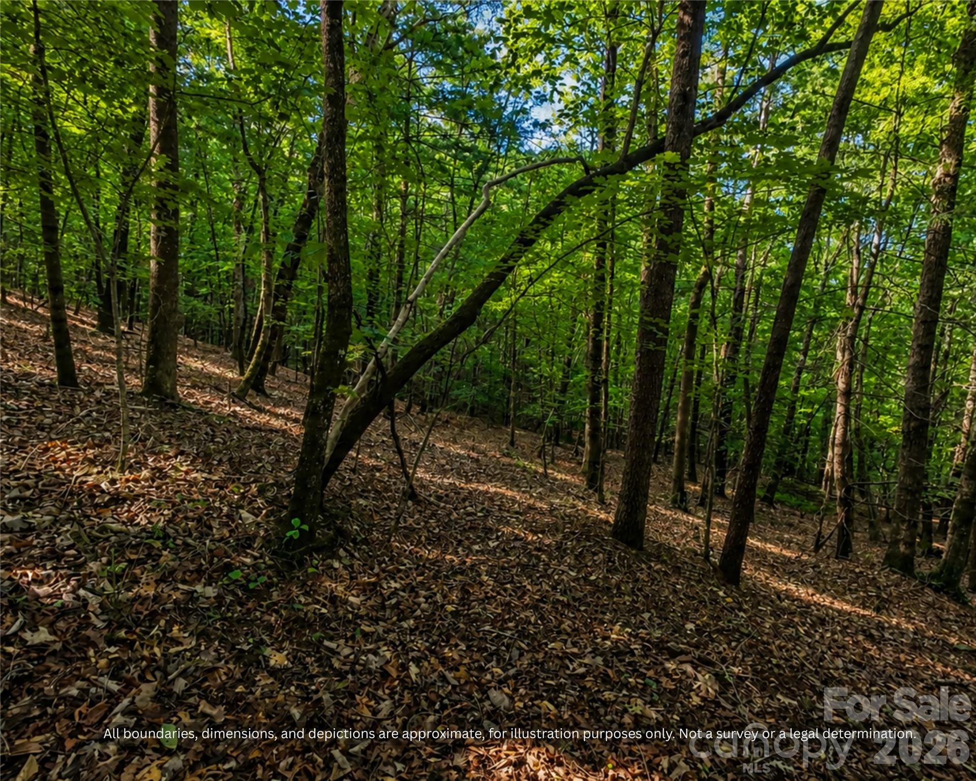 Wooded slope rising toward the ridge top, plan for a stepped or graded homesite - 99999 Boone Gap Lane, Taylorsville