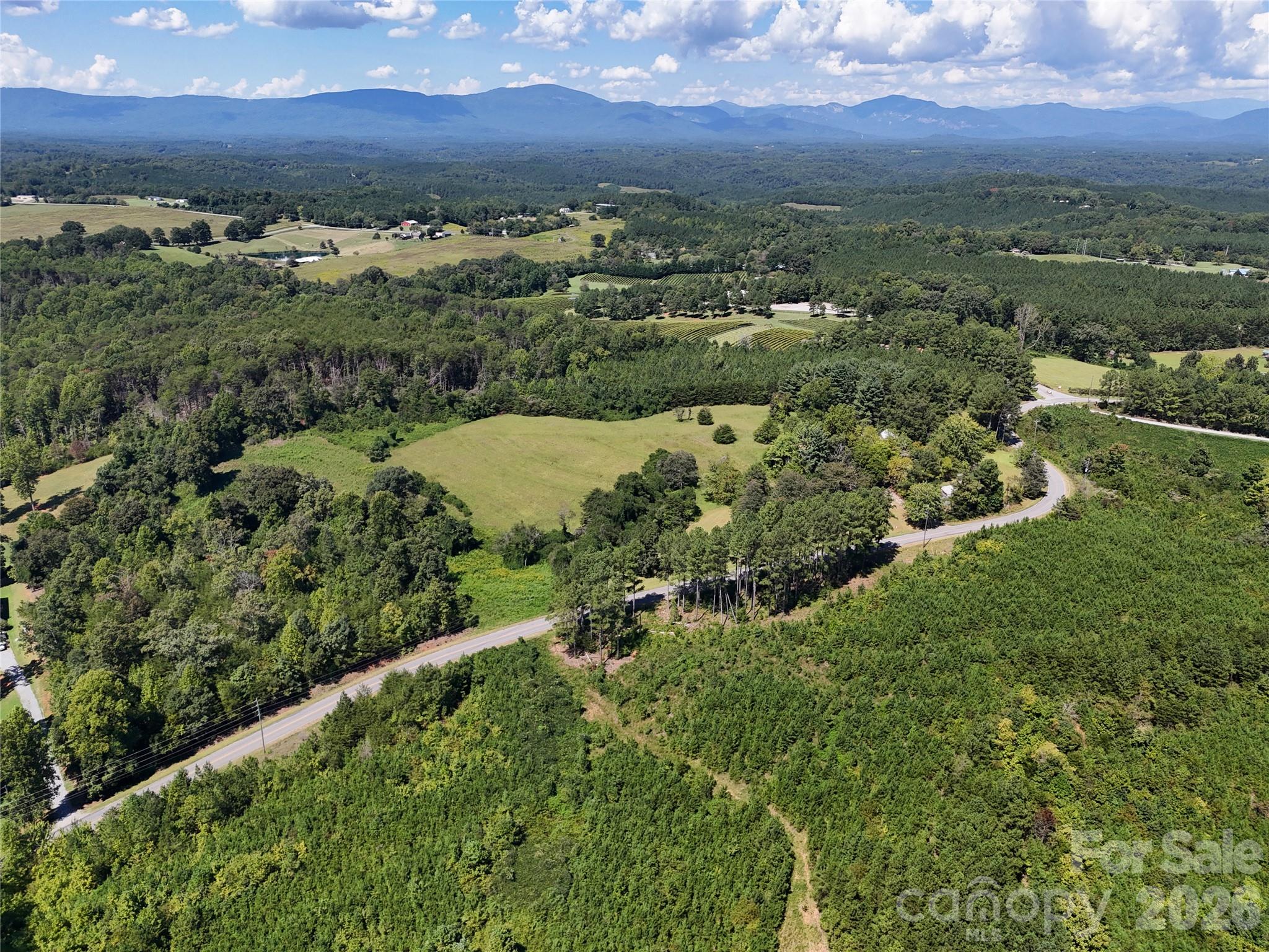 Acreage at 2125 Whiteside Road, Mill Spring, photo 2 of 7