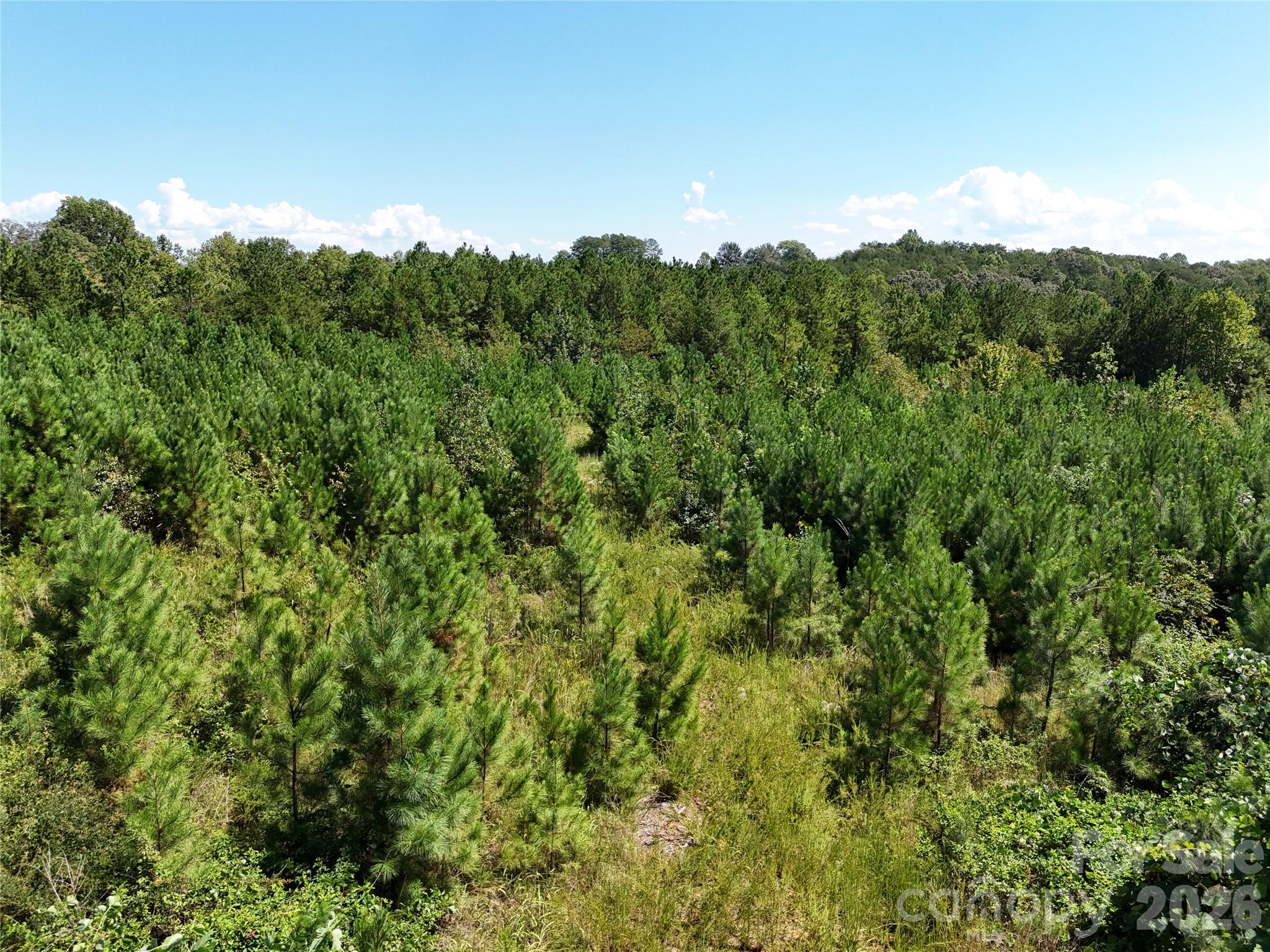 Acreage at 2125 Whiteside Road, Mill Spring, photo 5 of 7