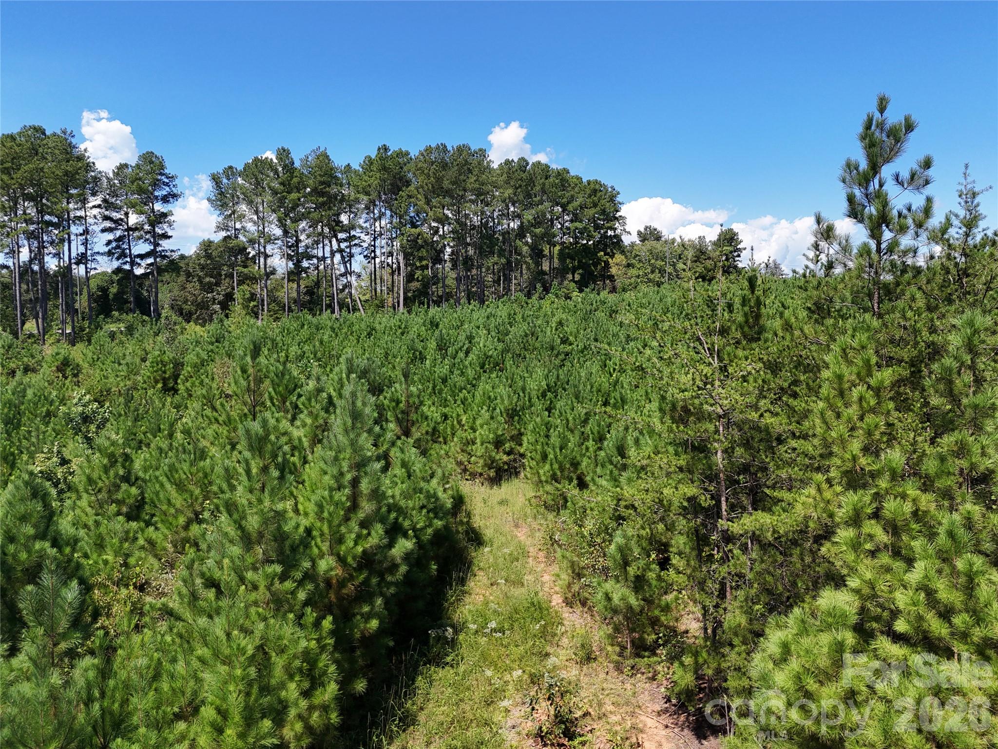 Acreage at 2125 Whiteside Road, Mill Spring, photo 6 of 7