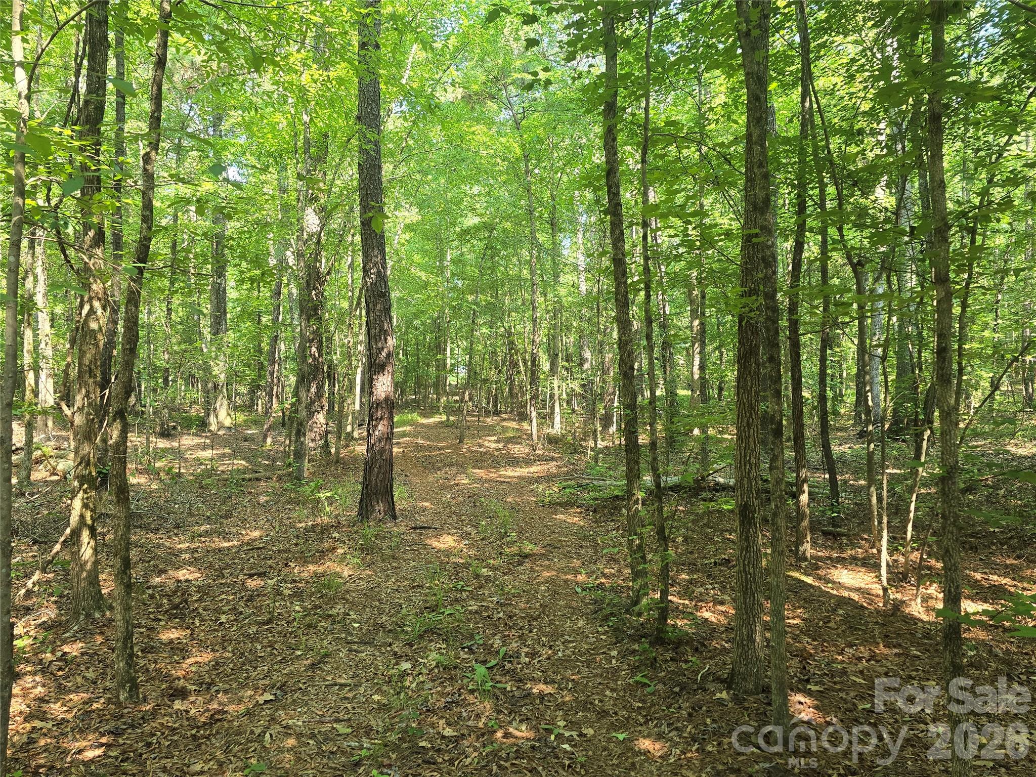 Acreage at 00 Hoke Road, Heath Springs, photo 3 of 7